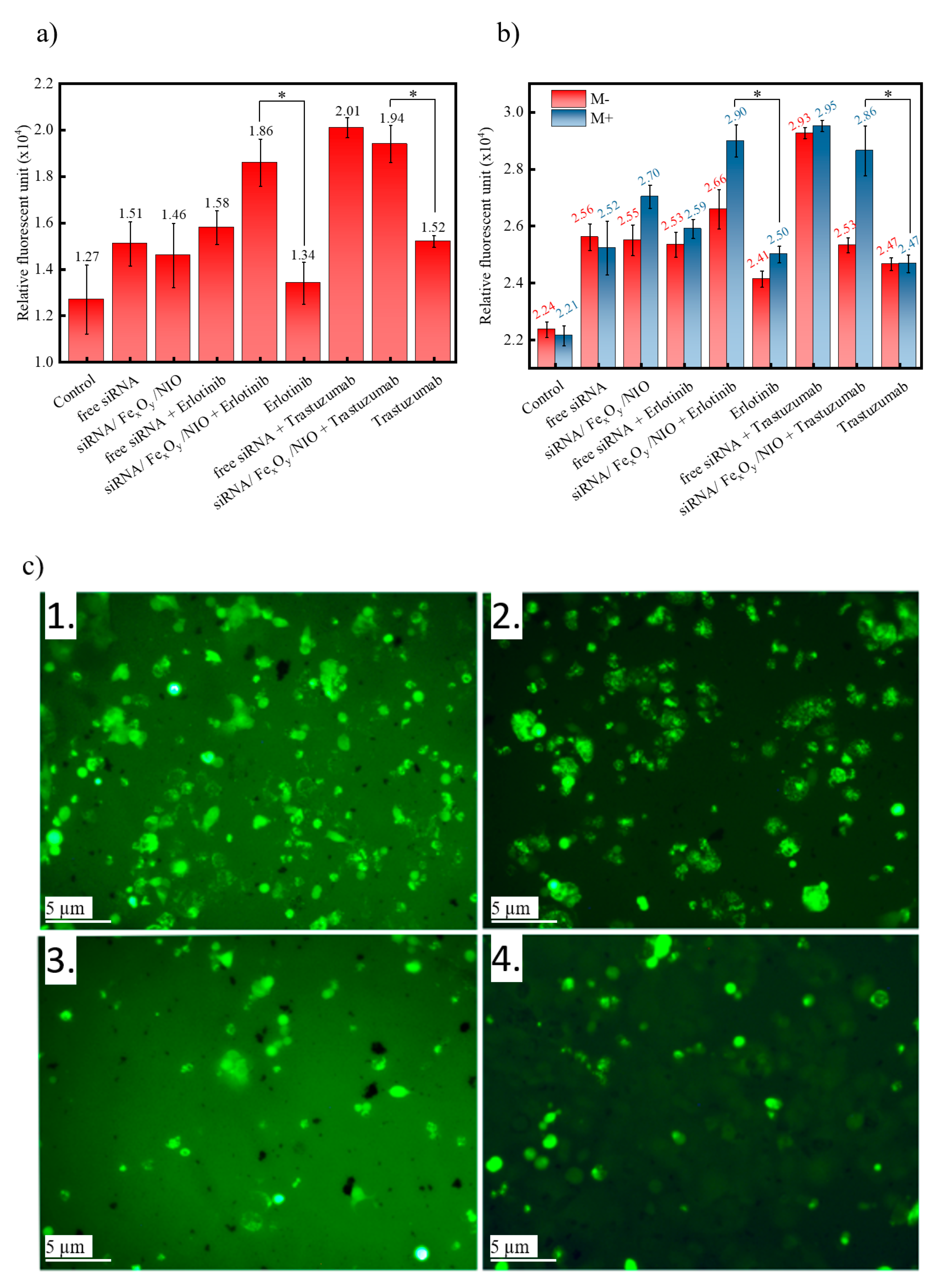 Pharmaceutics 13 00394 g005 Pharmaceutics 13 00394 g005