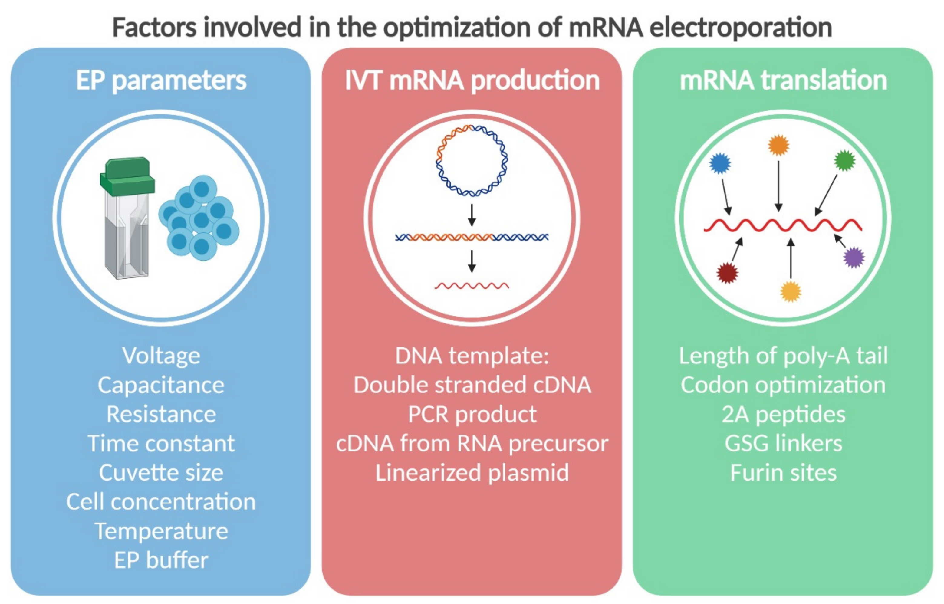 Pharmaceutics 13 00396 g001