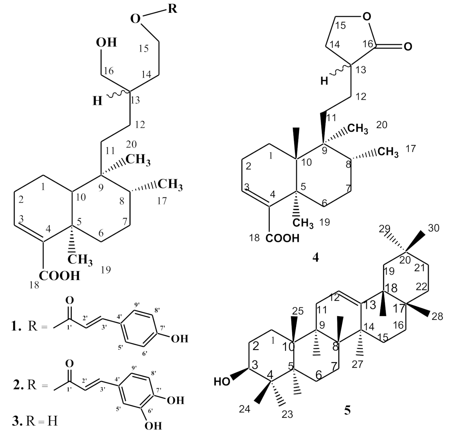 Pharmaceutics 13 00402 g001