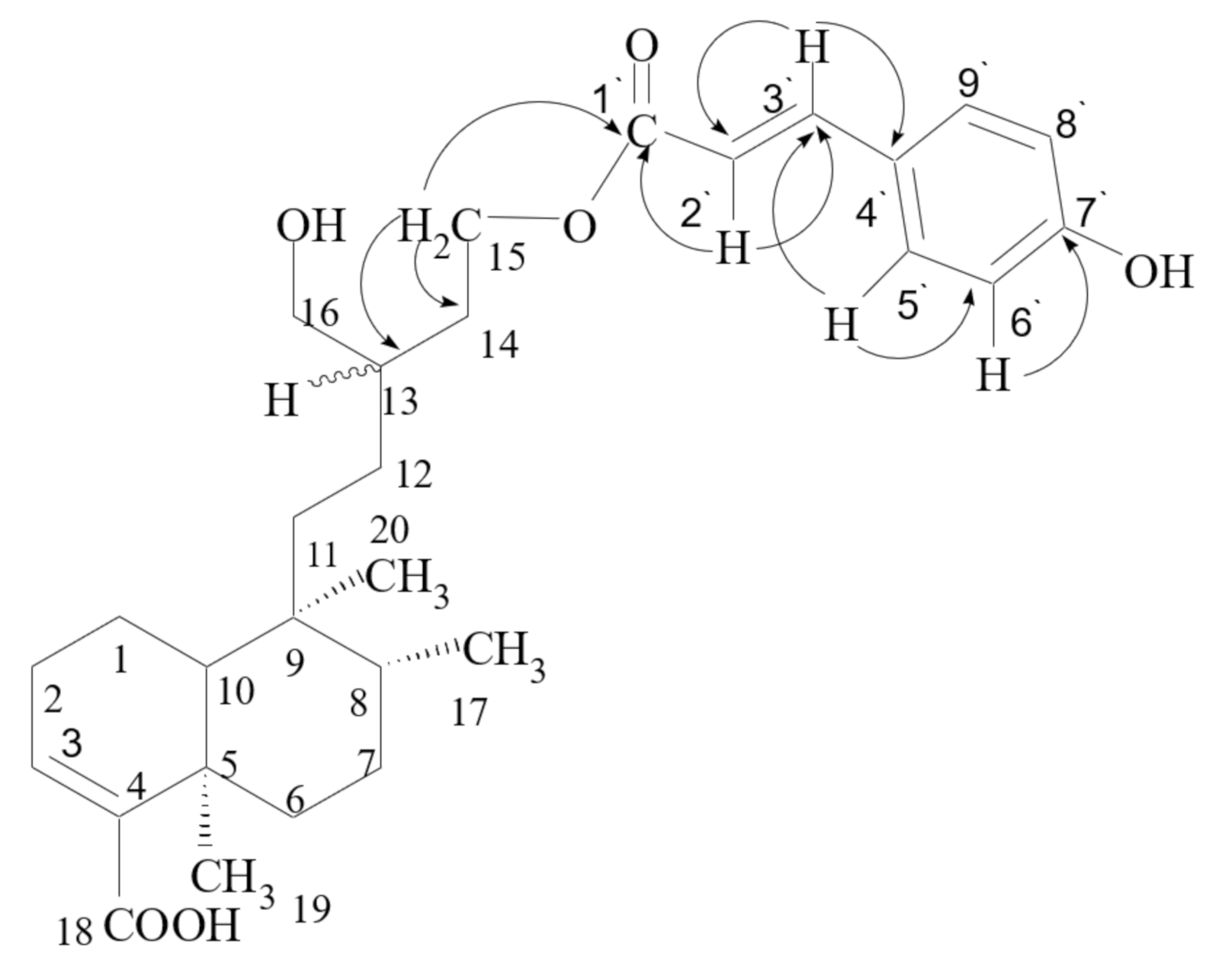 Pharmaceutics 13 00402 g002