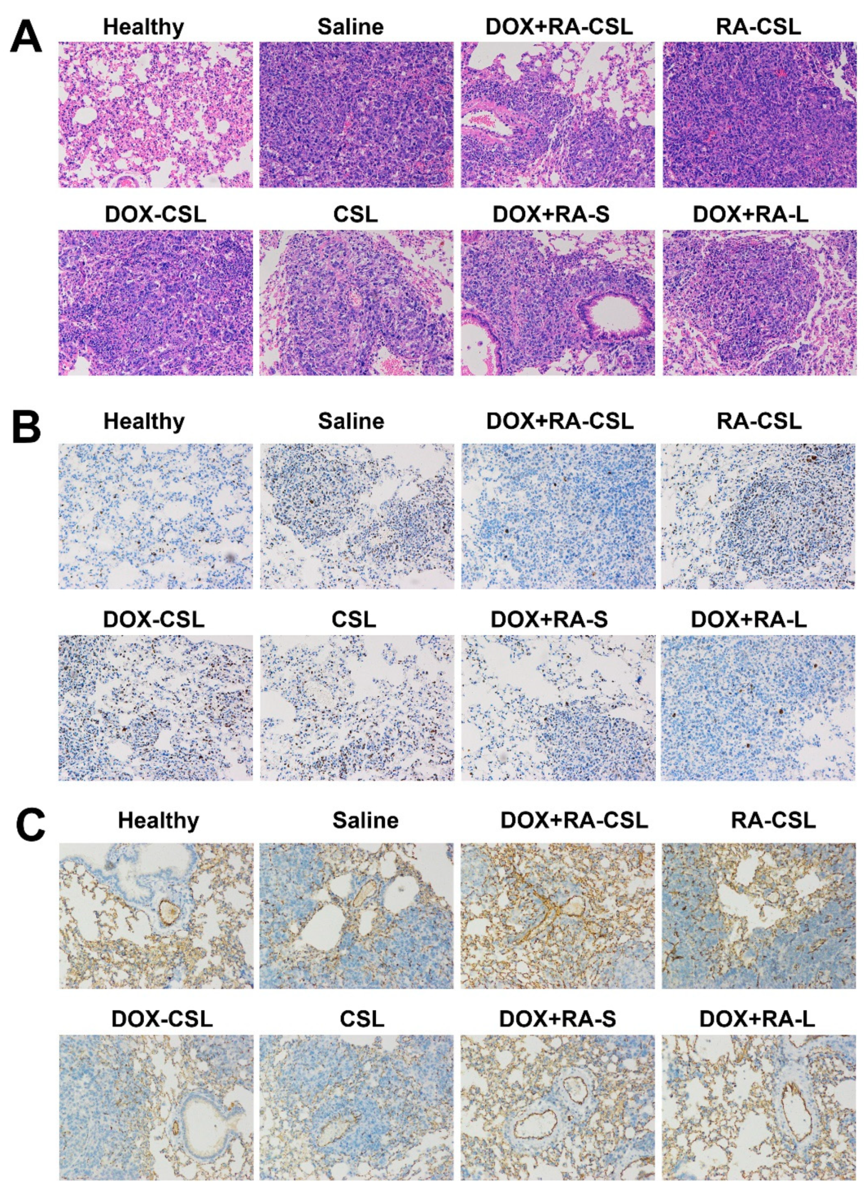 Pharmaceutics 13 00406 g004 Pharmaceutics 13 00406 g004