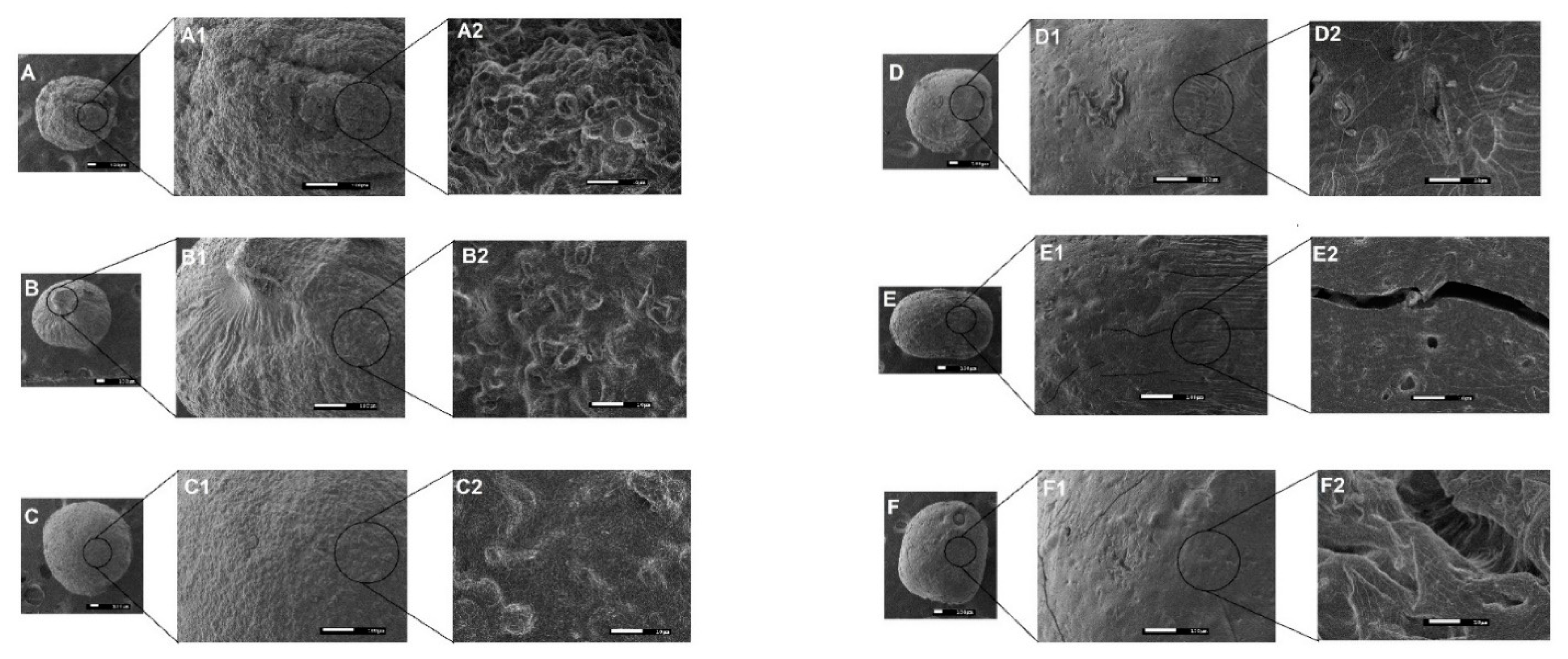 Pharmaceutics 13 00407 g001 Pharmaceutics 13 00407 g001