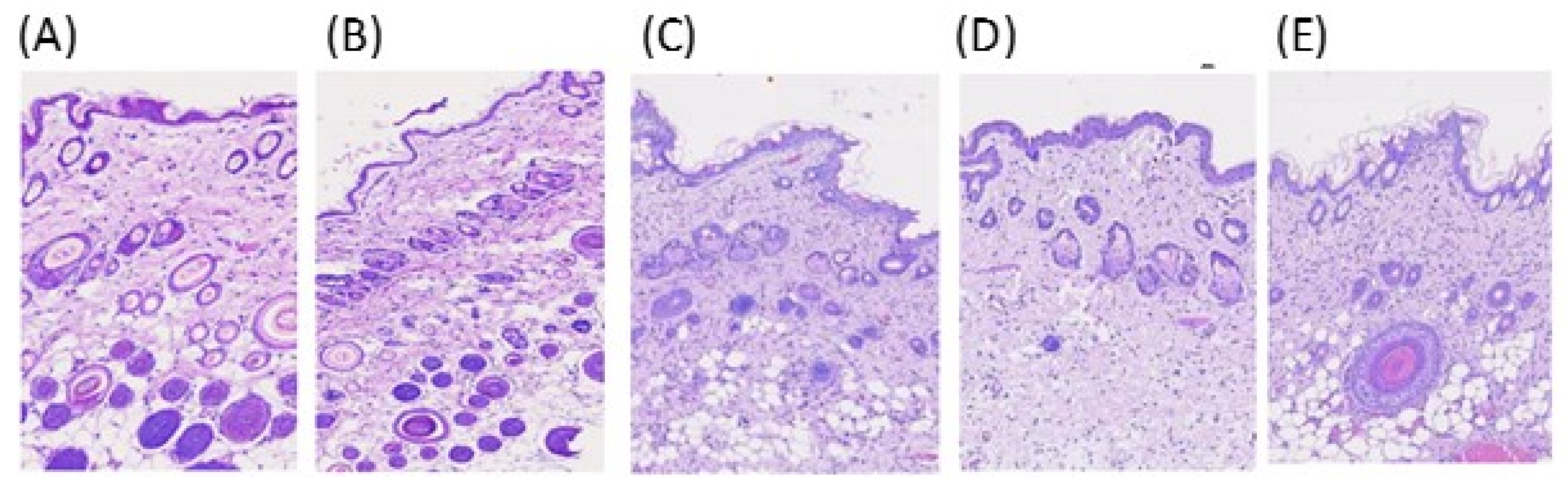 Pharmaceutics 13 00410 g003 Pharmaceutics 13 00410 g003