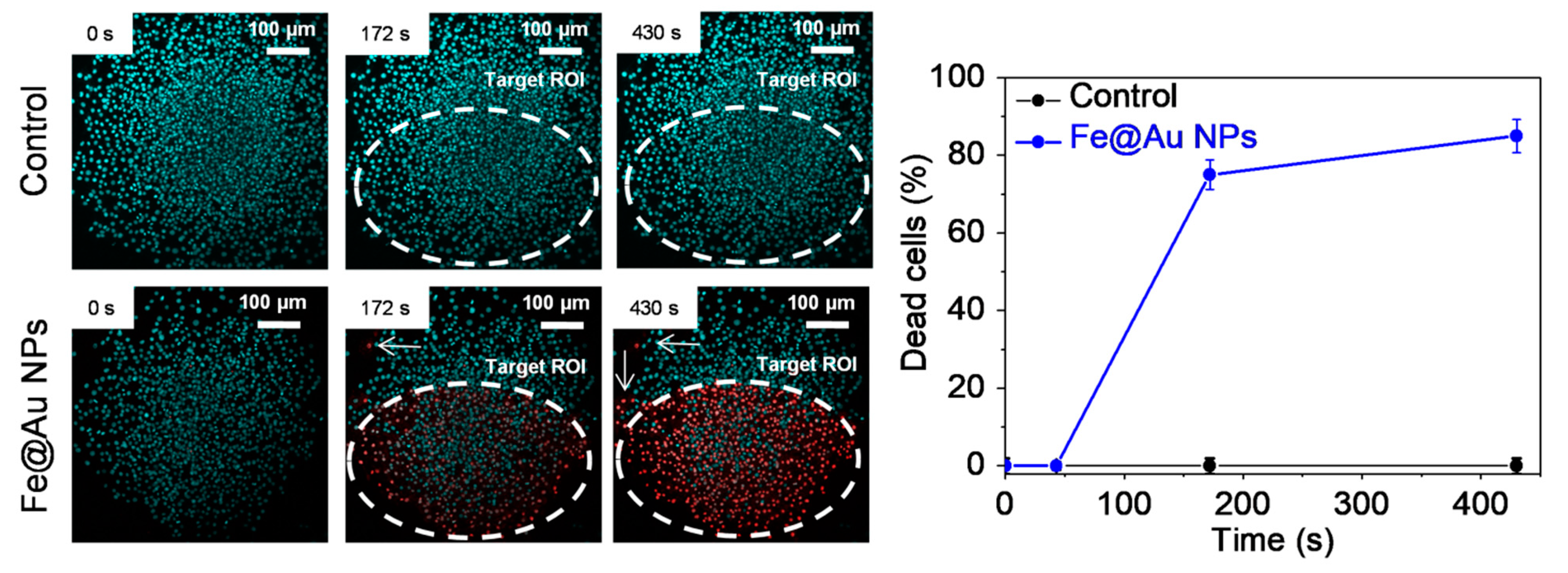Pharmaceutics 13 00416 g004 Pharmaceutics 13 00416 g004