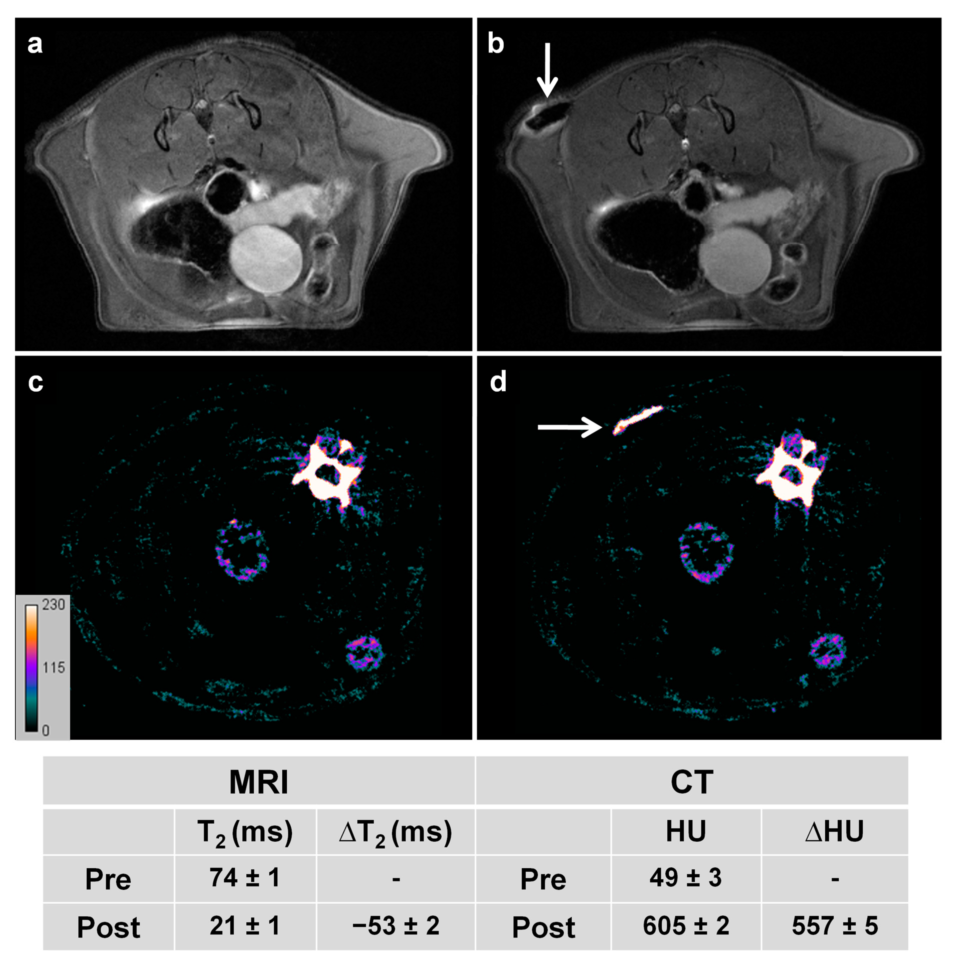 Pharmaceutics 13 00416 g006 Pharmaceutics 13 00416 g006