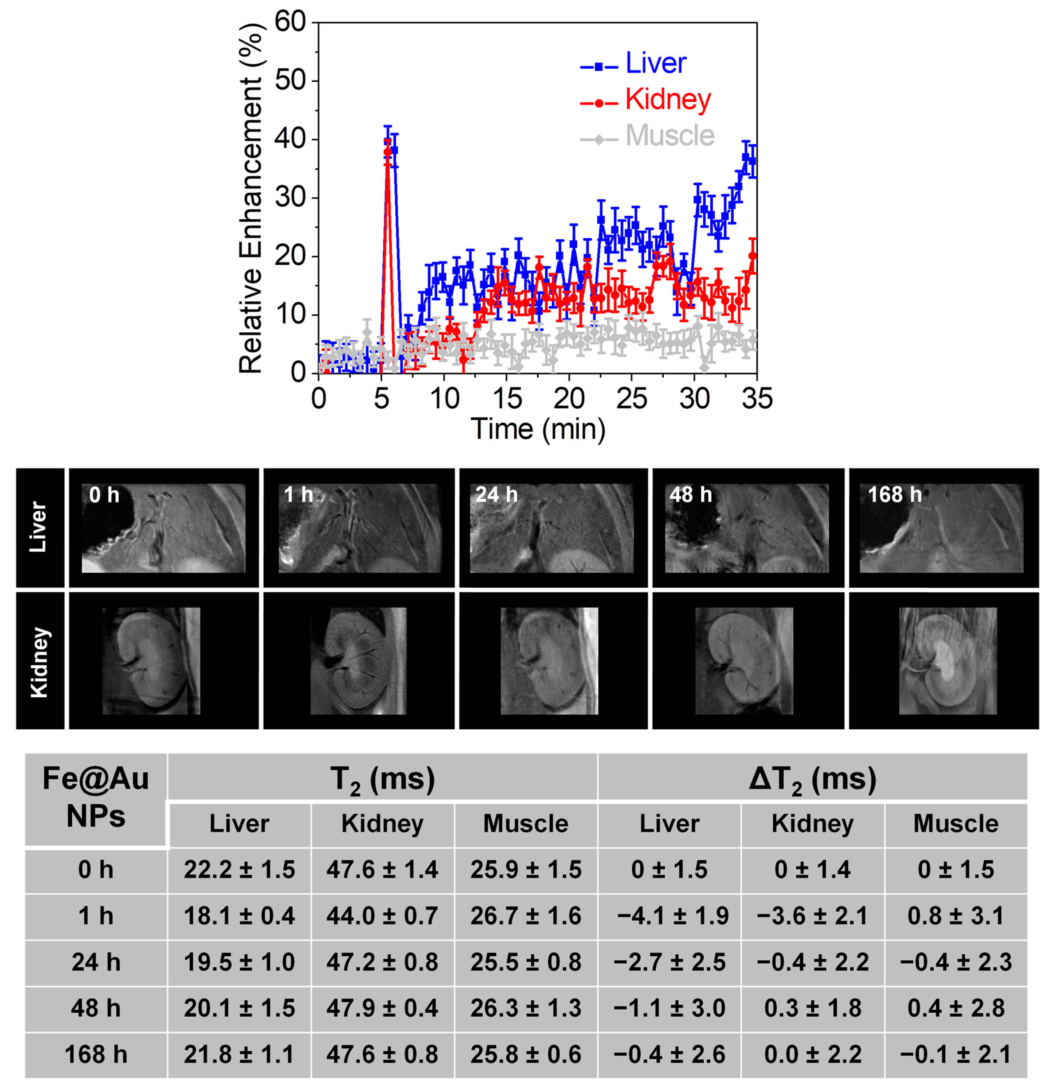 Pharmaceutics 13 00416 g007 Pharmaceutics 13 00416 g007