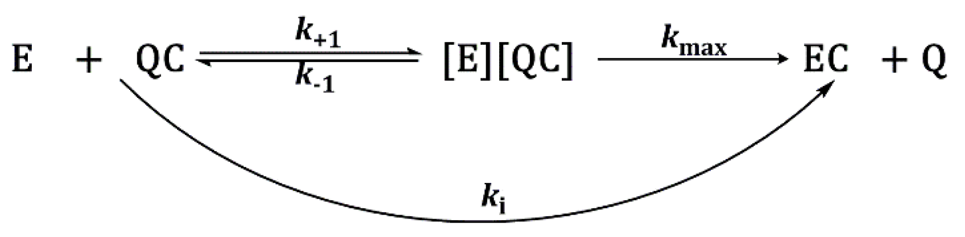 Pharmaceutics 13 00420 sch001 Pharmaceutics 13 00420 sch001