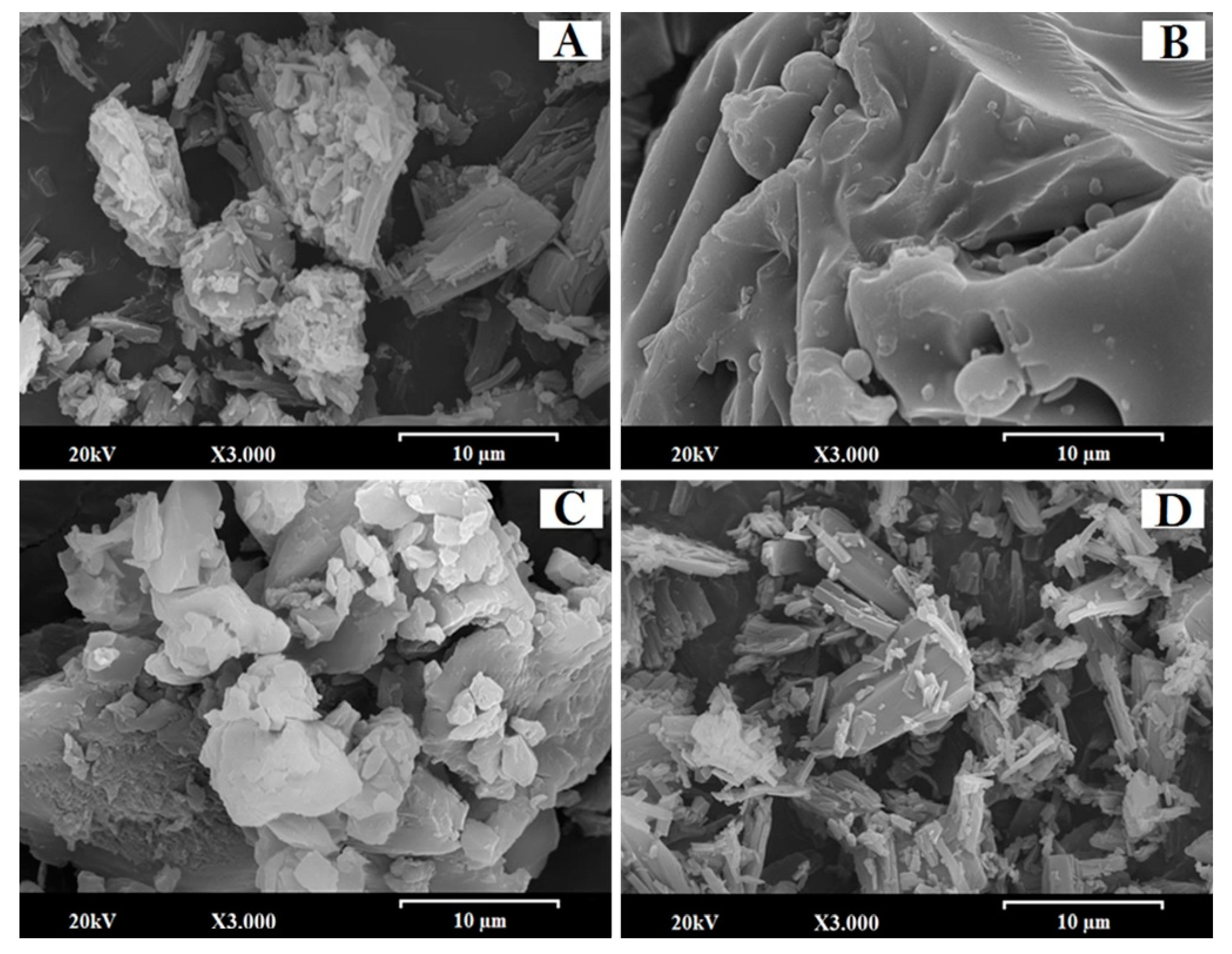 Pharmaceutics 13 00421 g001 Pharmaceutics 13 00421 g001