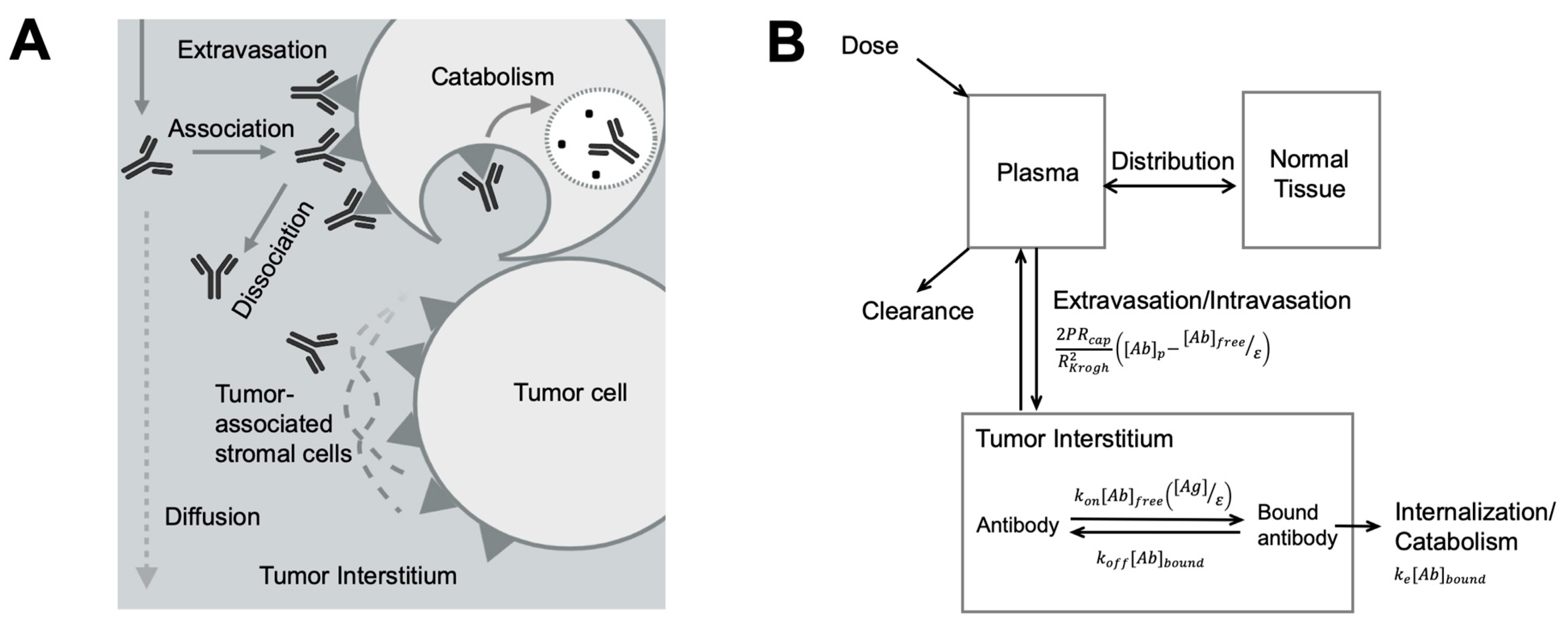 Pharmaceutics 13 00422 g003
