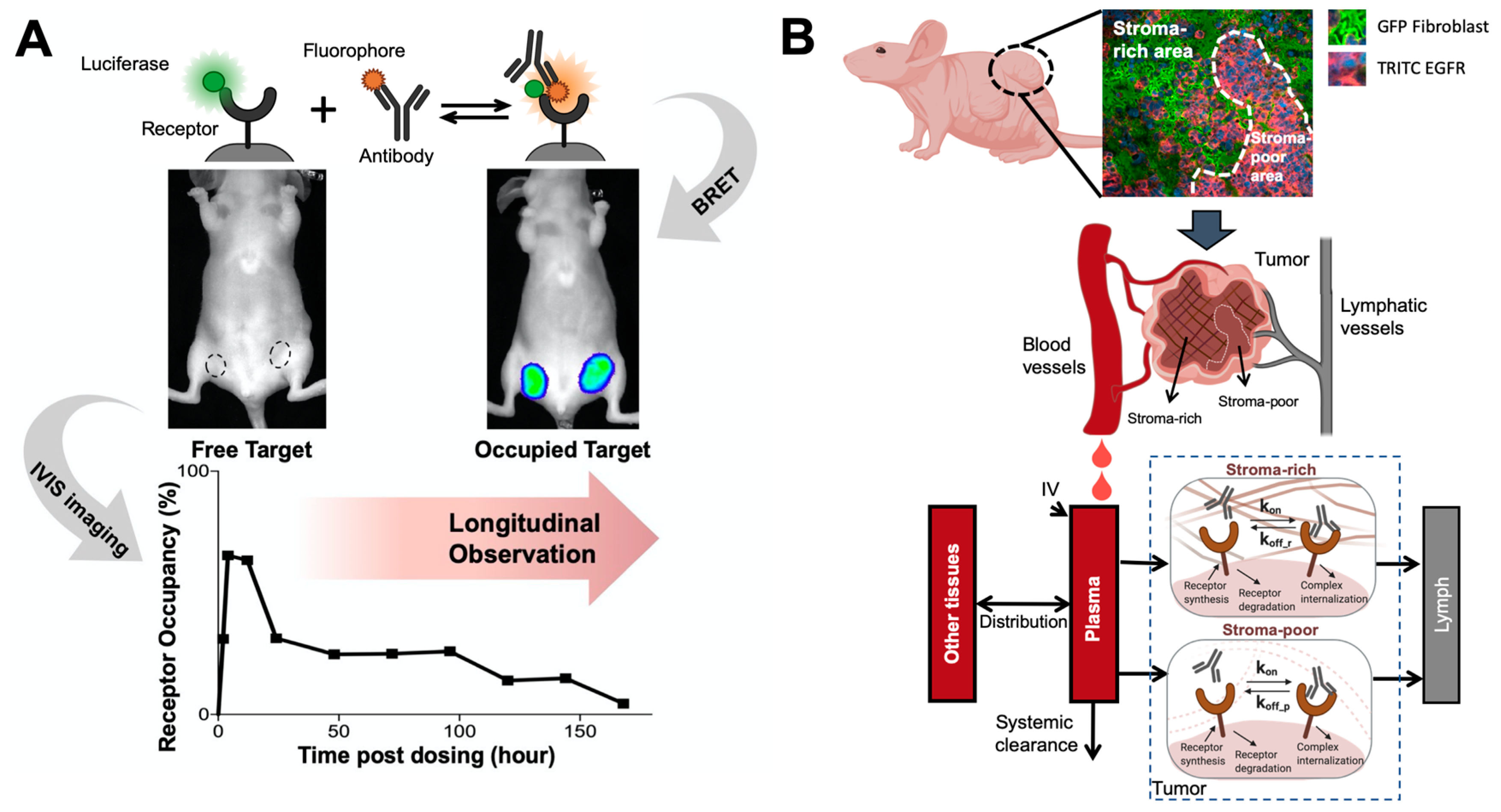 Pharmaceutics 13 00422 g004