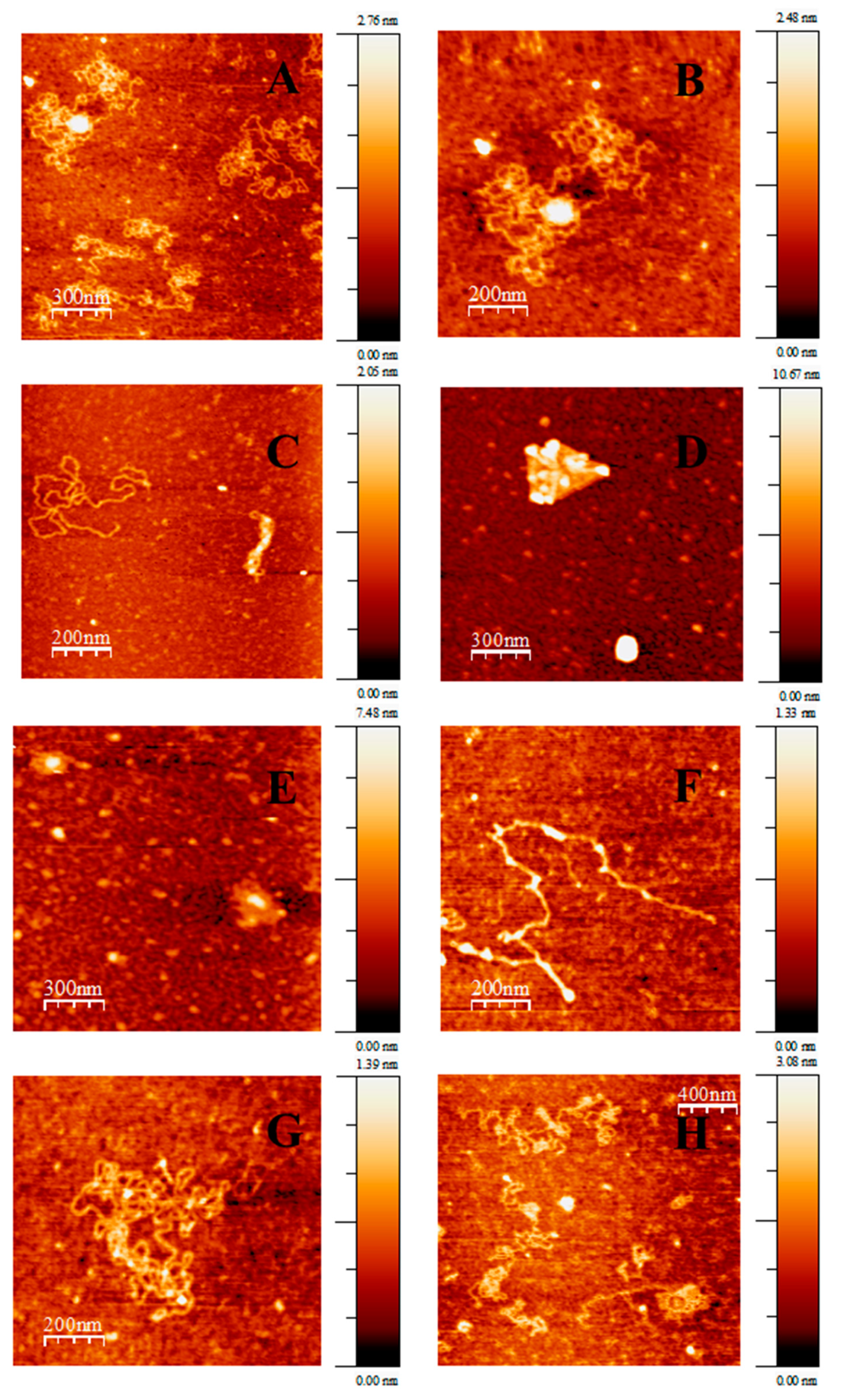 Pharmaceutics 13 00423 g003 Pharmaceutics 13 00423 g003