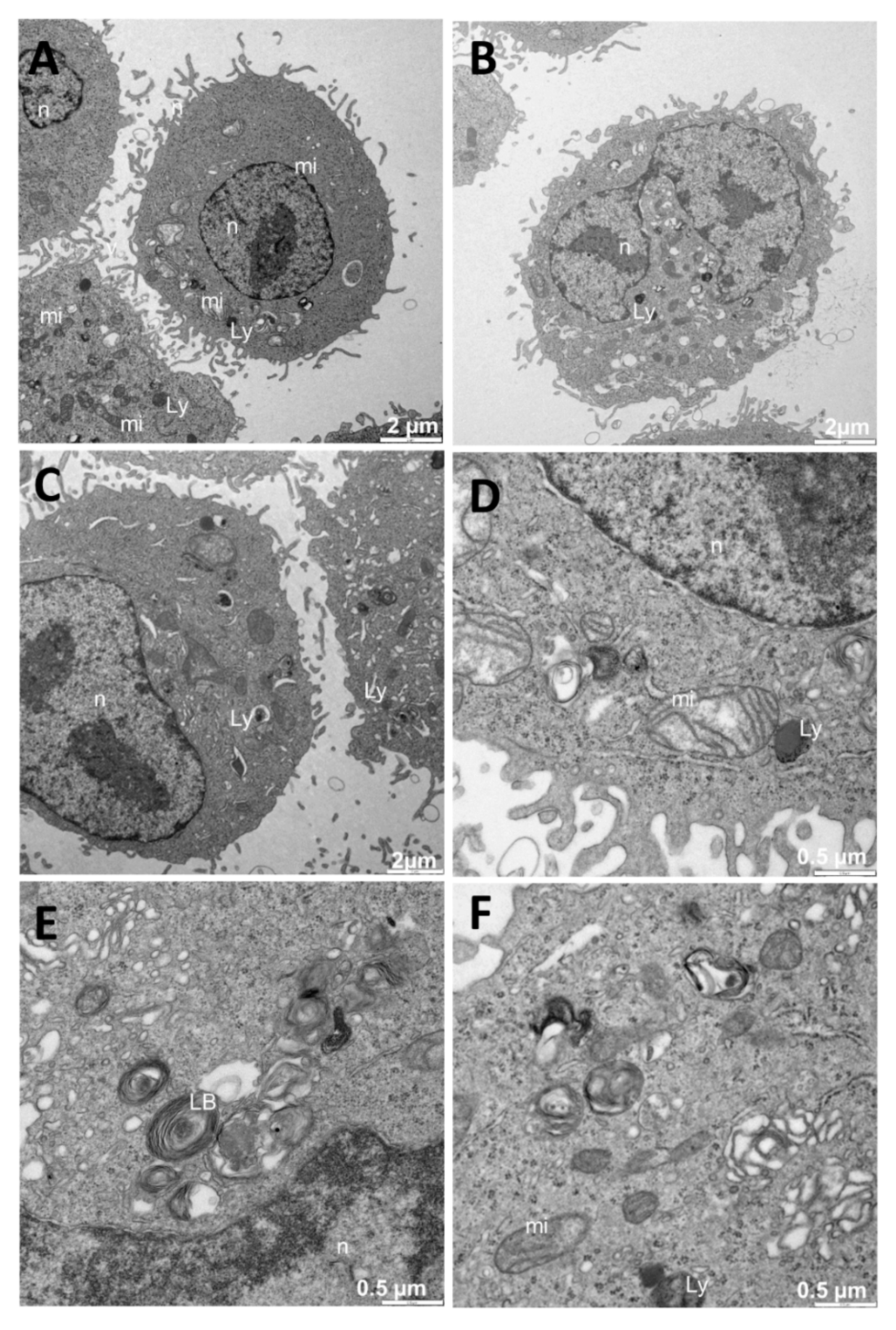 Pharmaceutics 13 00423 g006 Pharmaceutics 13 00423 g006