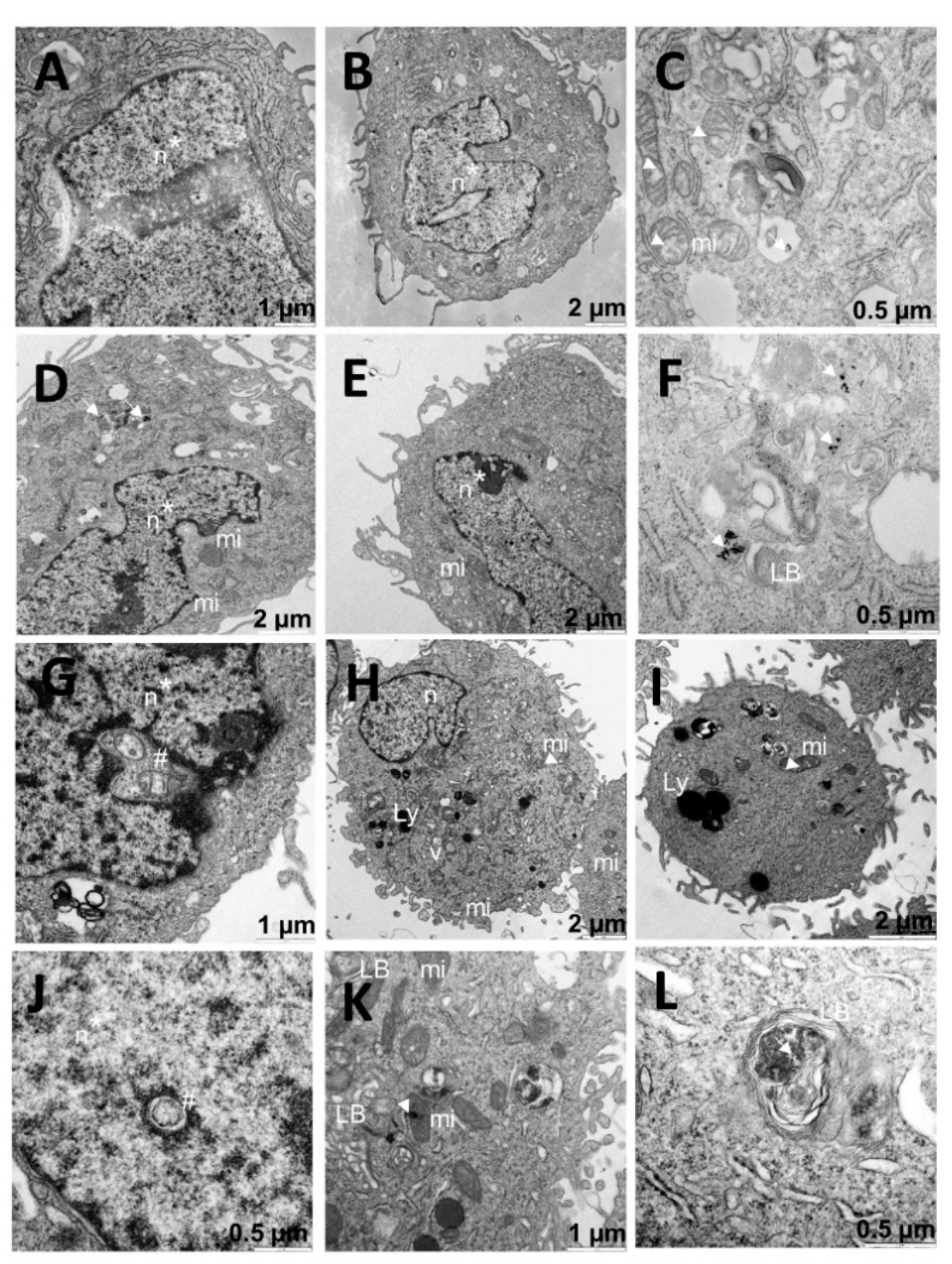 Pharmaceutics 13 00423 g008 Pharmaceutics 13 00423 g008