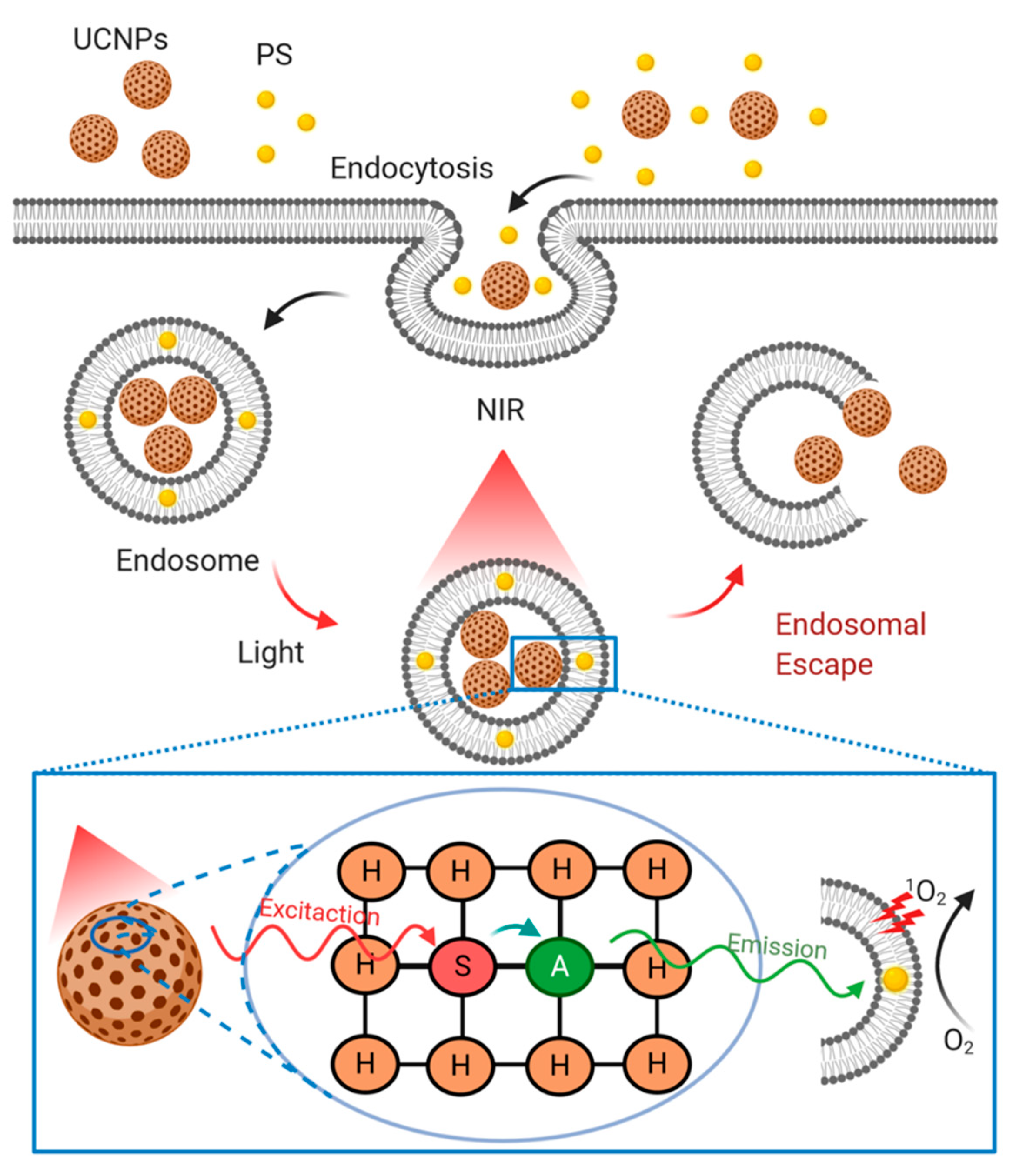 Pharmaceutics 13 00428 g005 Pharmaceutics 13 00428 g005