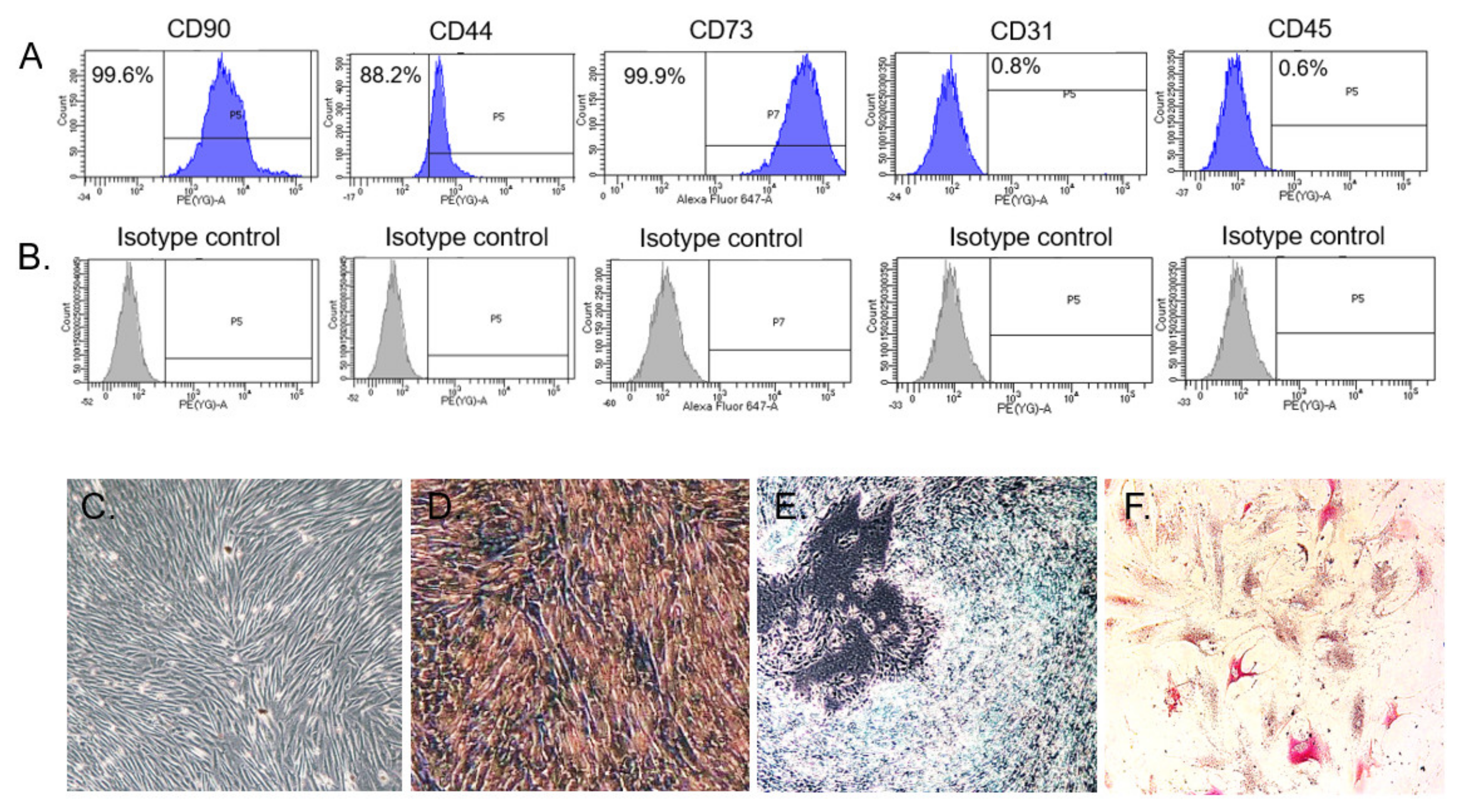 Pharmaceutics 13 00432 g002