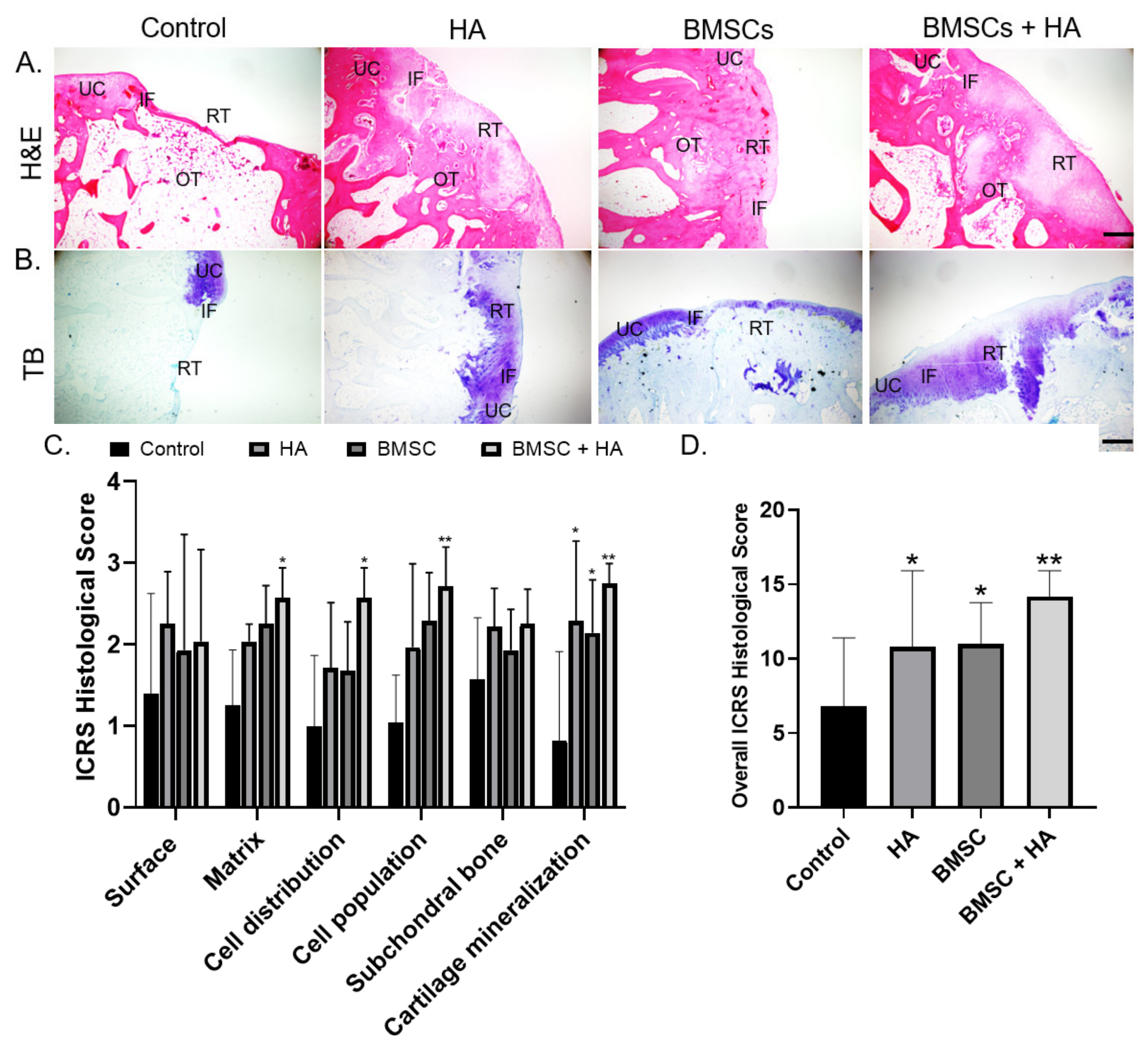 Pharmaceutics 13 00432 g005