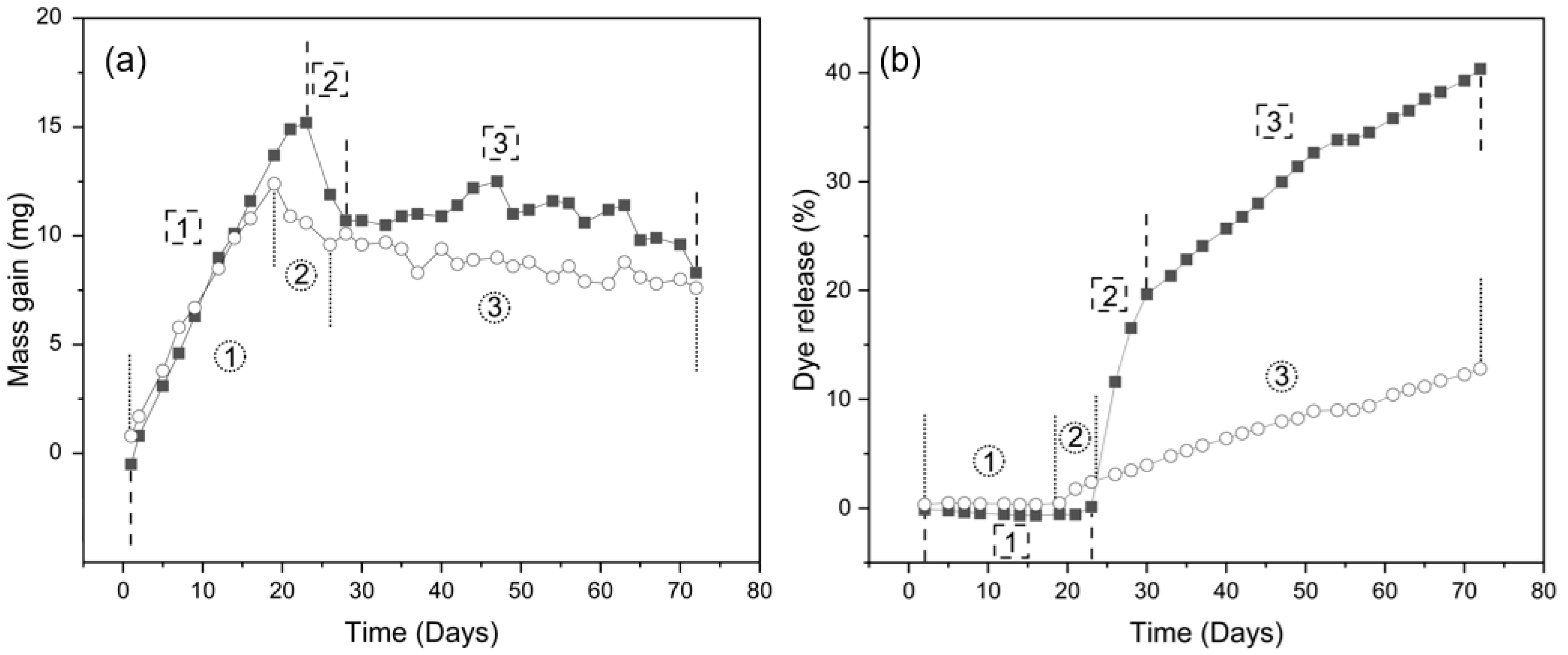 Pharmaceutics 13 00434 g002