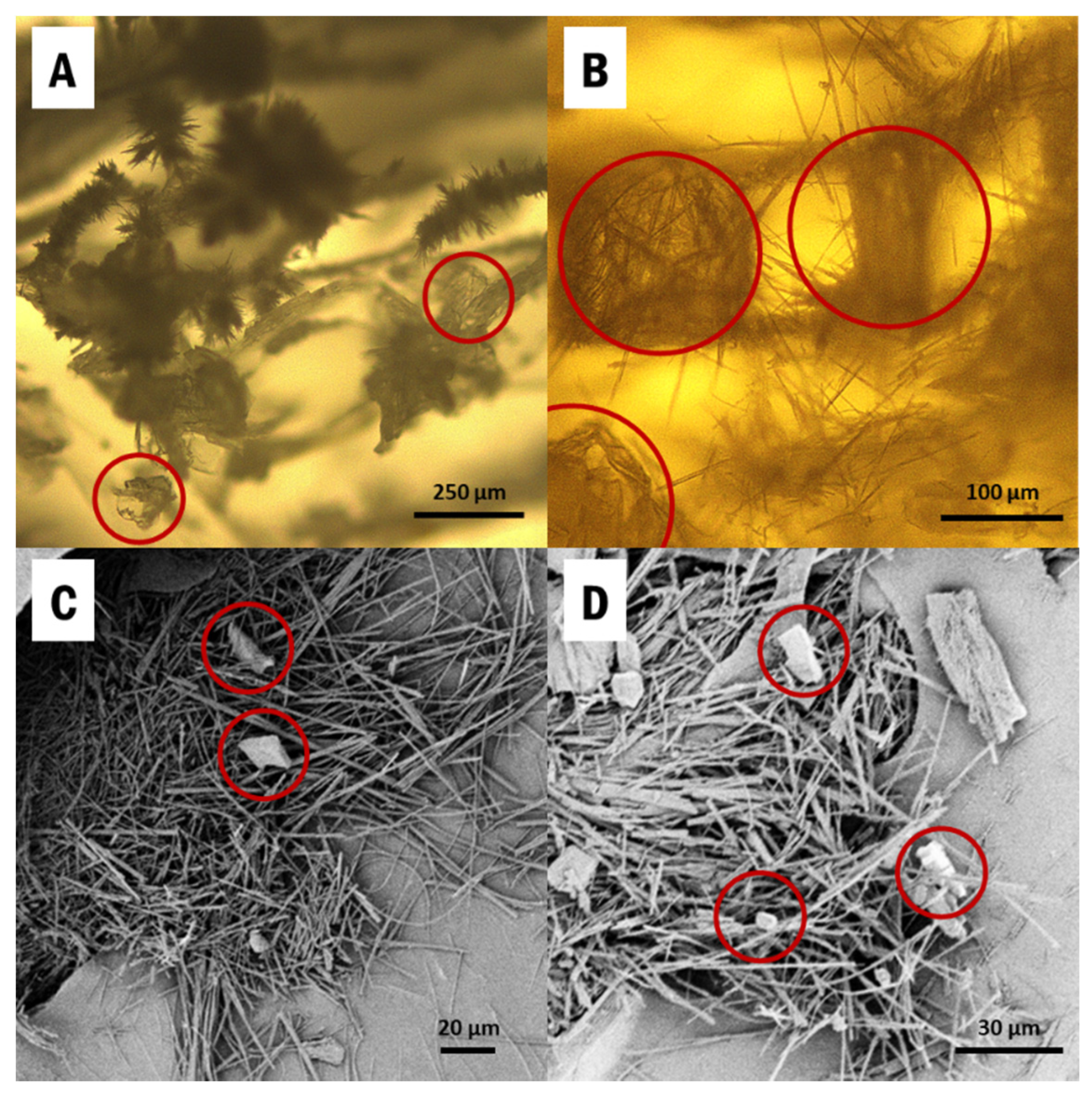 Pharmaceutics 13 00441 g001 Pharmaceutics 13 00441 g001