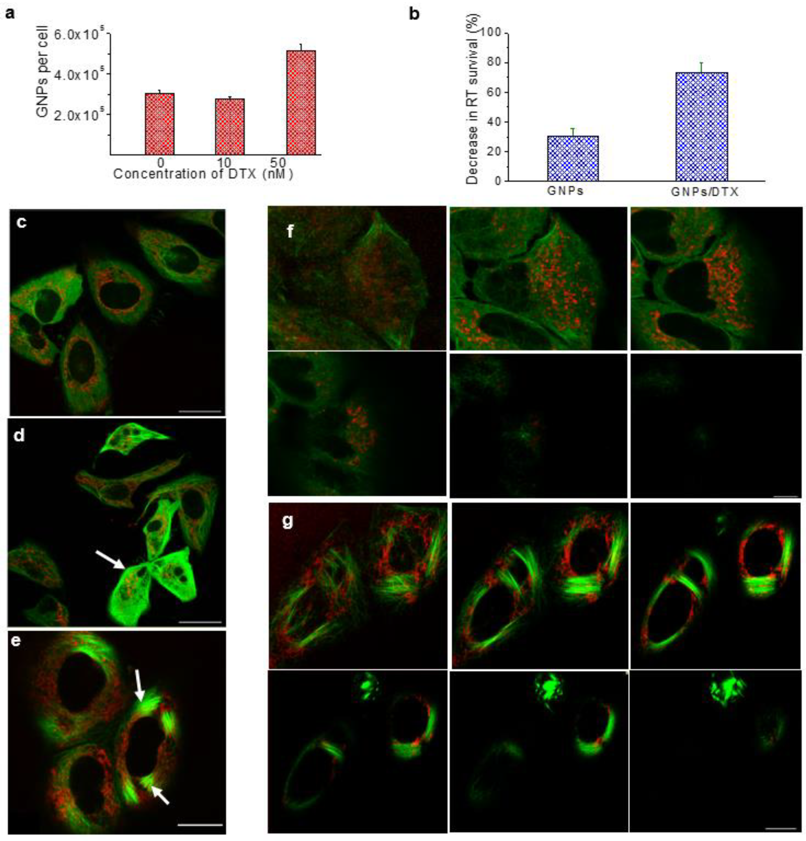 Pharmaceutics 13 00442 g009