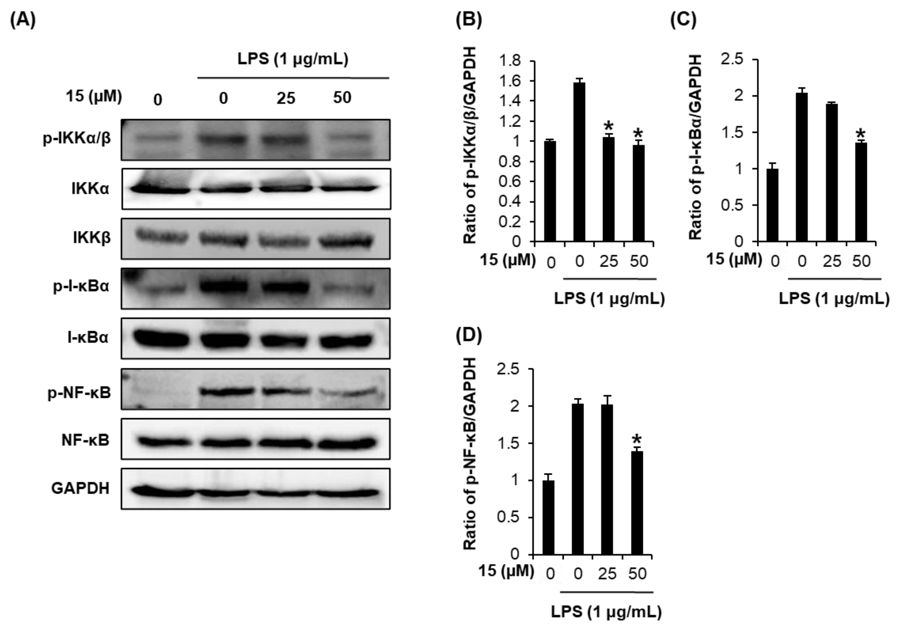 Pharmaceutics 13 00443 g004 Pharmaceutics 13 00443 g004