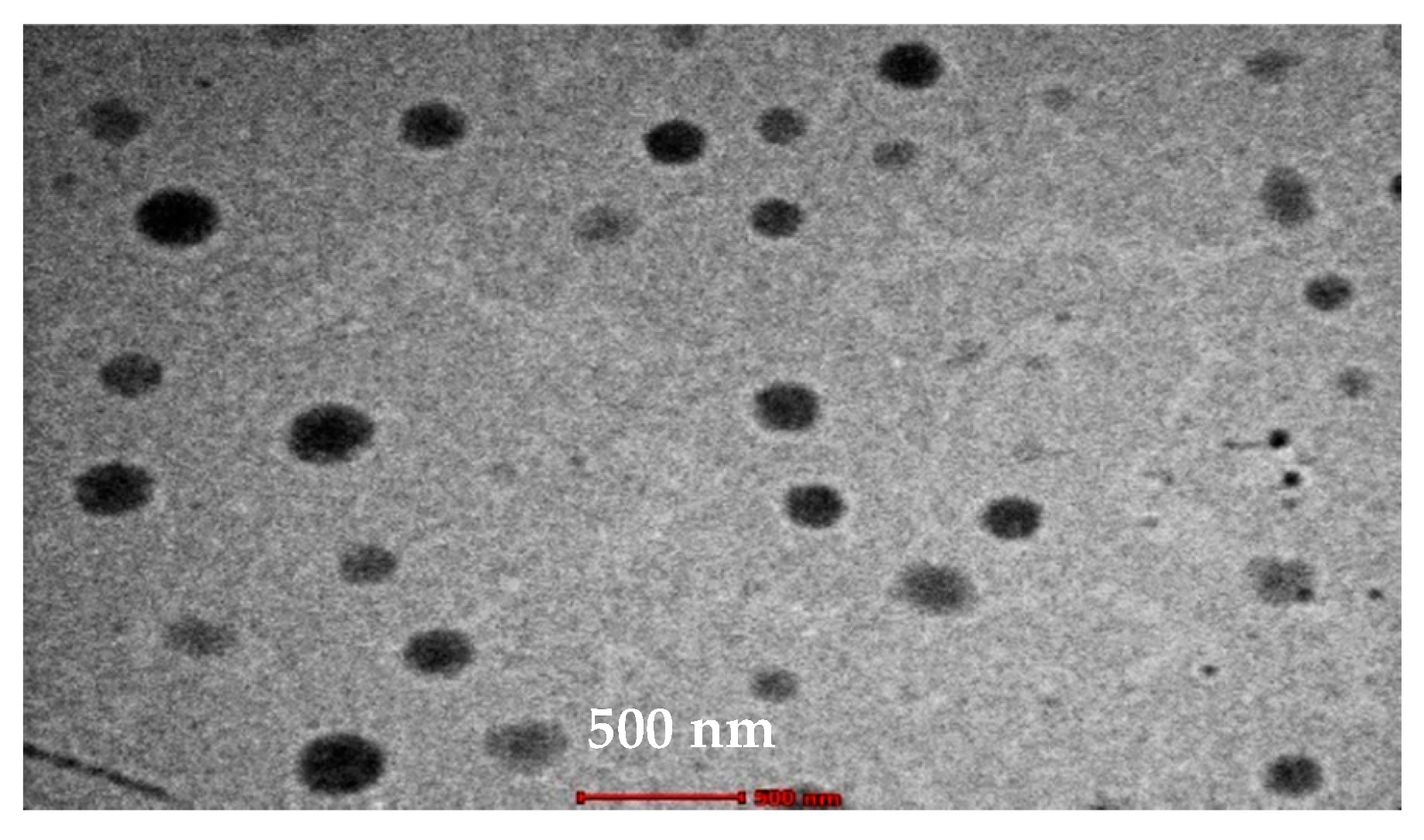 Pharmaceutics 13 00444 g005