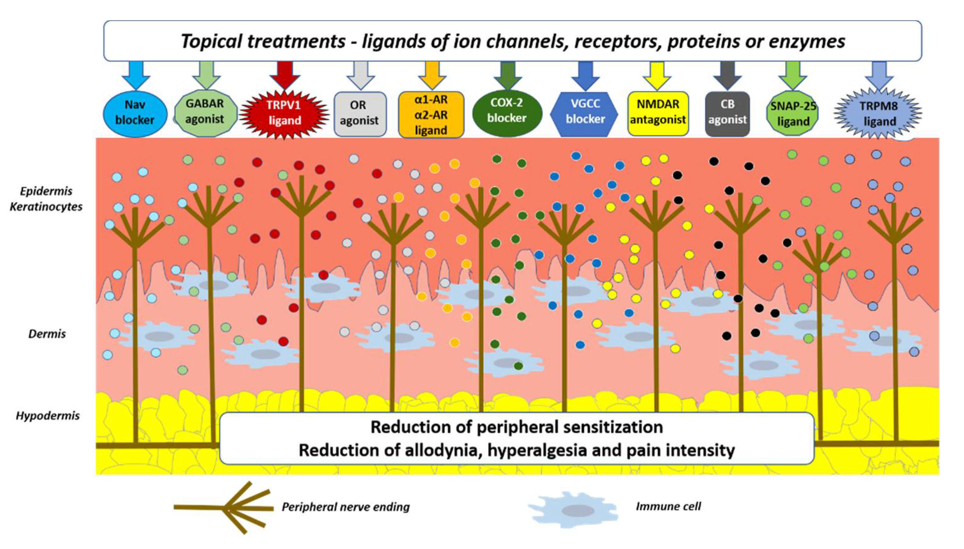 Pharmaceutics 13 00450 g002