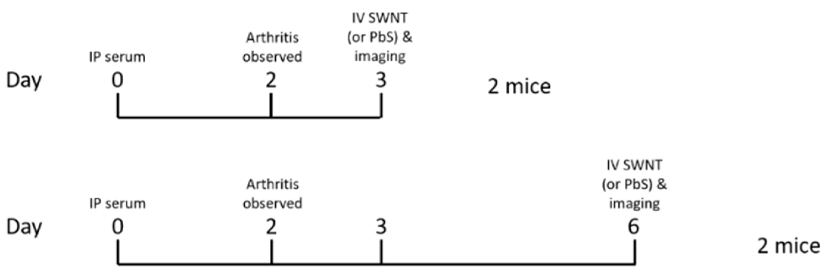 Pharmaceutics 13 00453 g001