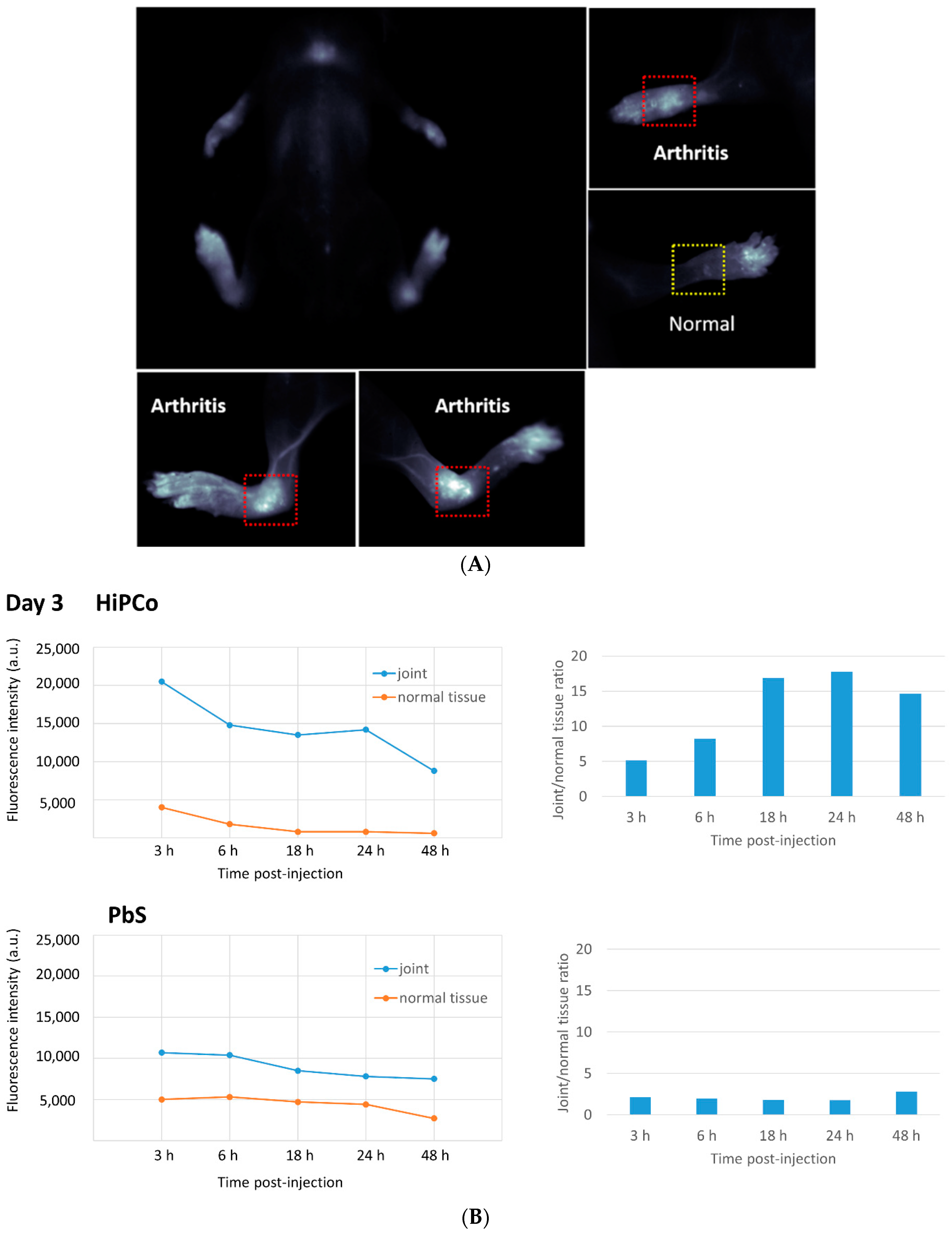 Pharmaceutics 13 00453 g002
