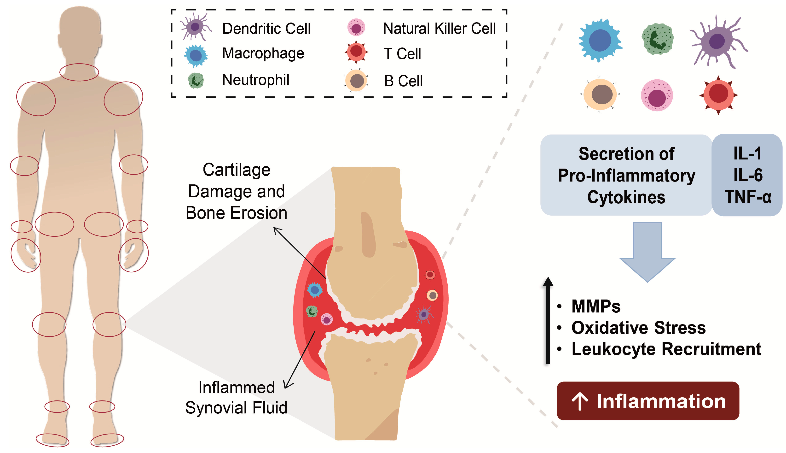 Pharmaceutics 13 00454 g001
