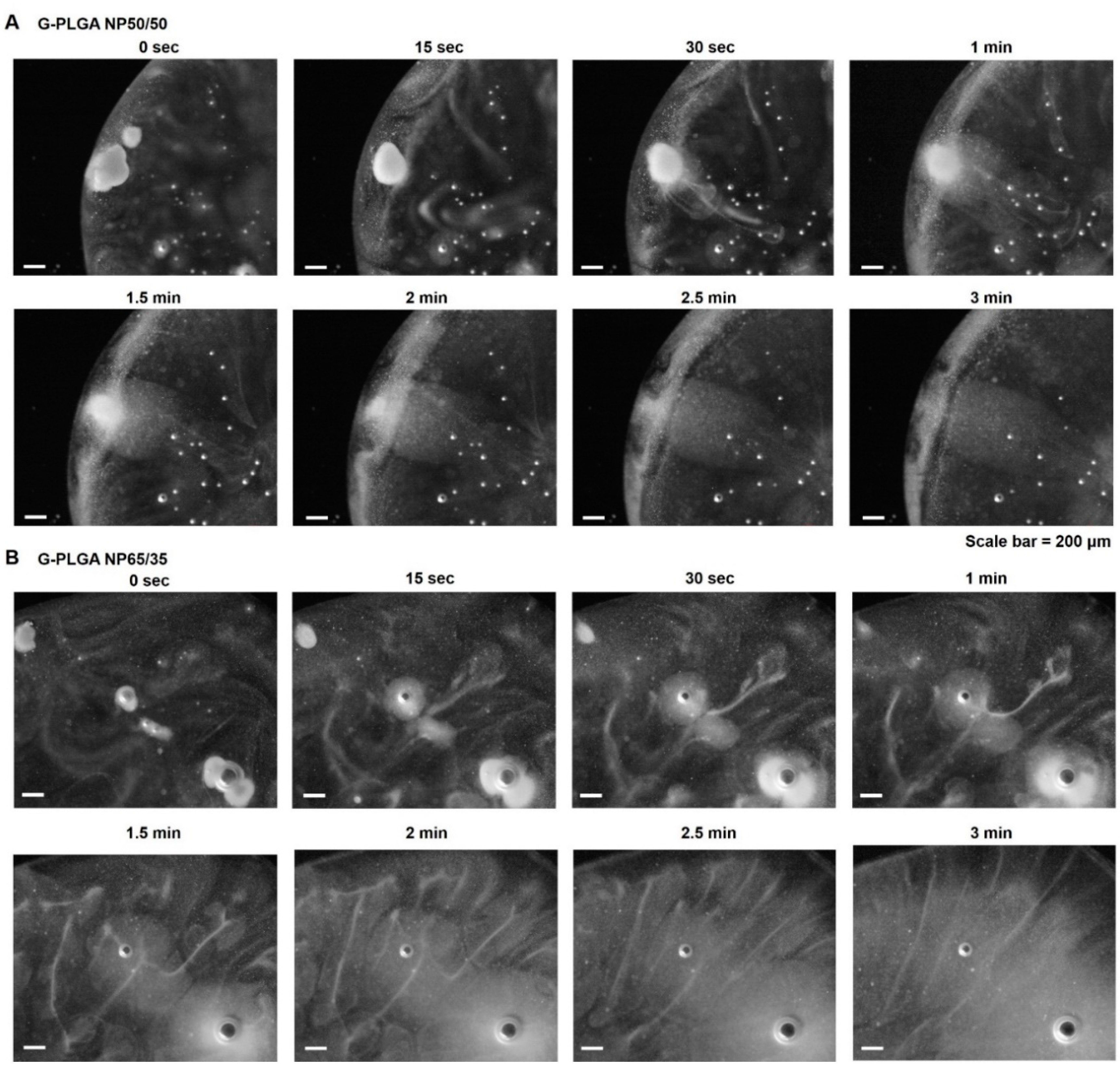 Pharmaceutics 13 00457 g003 Pharmaceutics 13 00457 g003