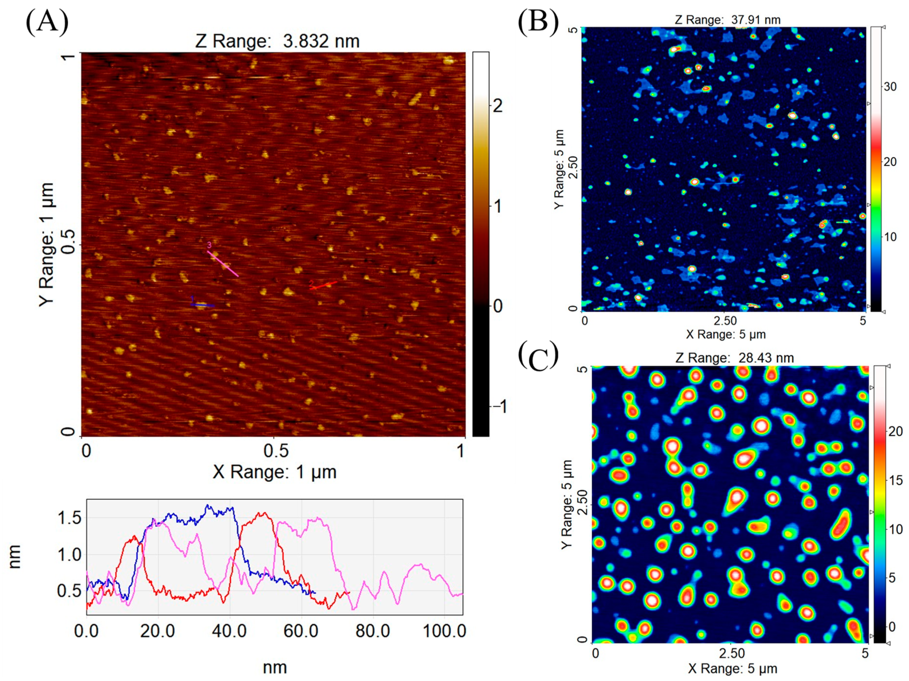Pharmaceutics 13 00459 g003 Pharmaceutics 13 00459 g003