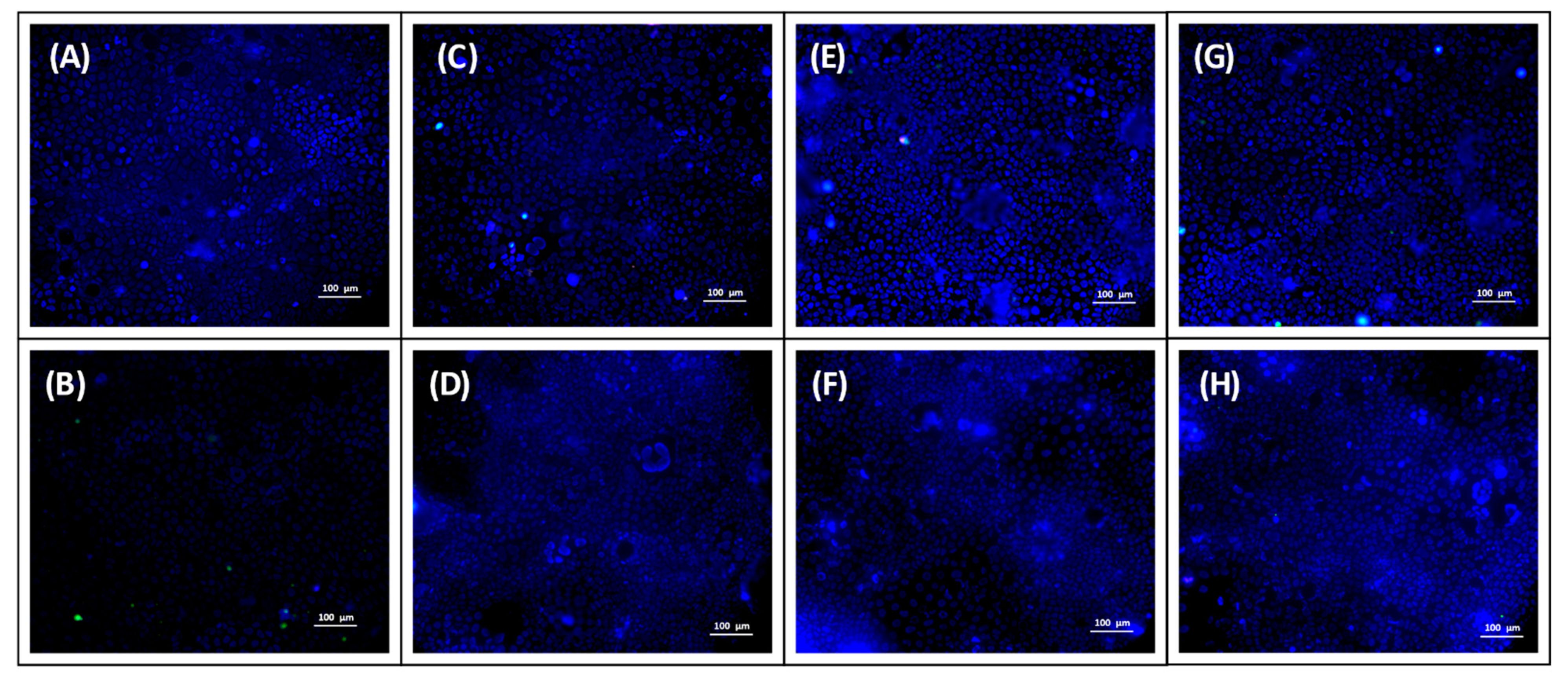 Pharmaceutics 13 00459 g010 Pharmaceutics 13 00459 g010