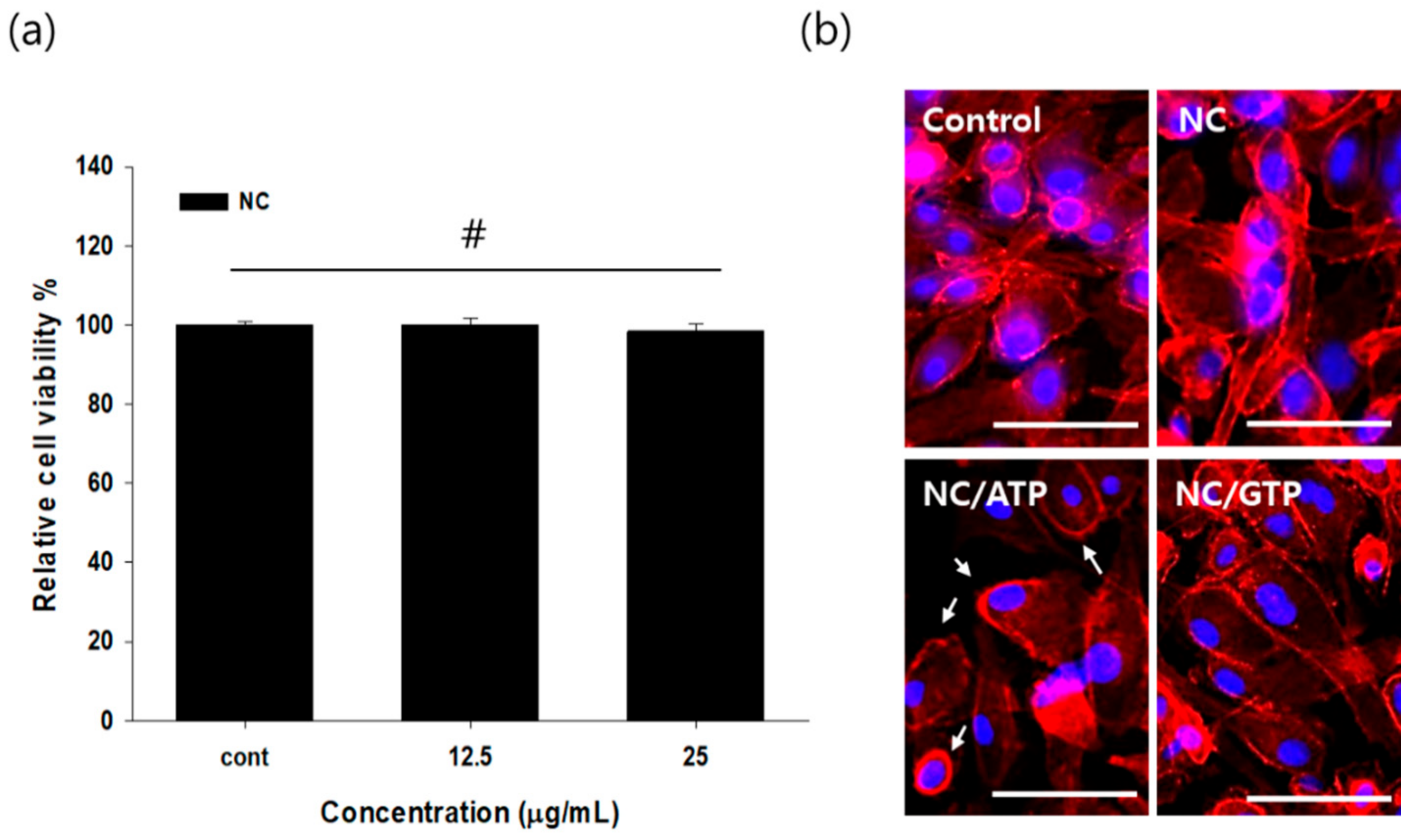Pharmaceutics 13 00463 g002