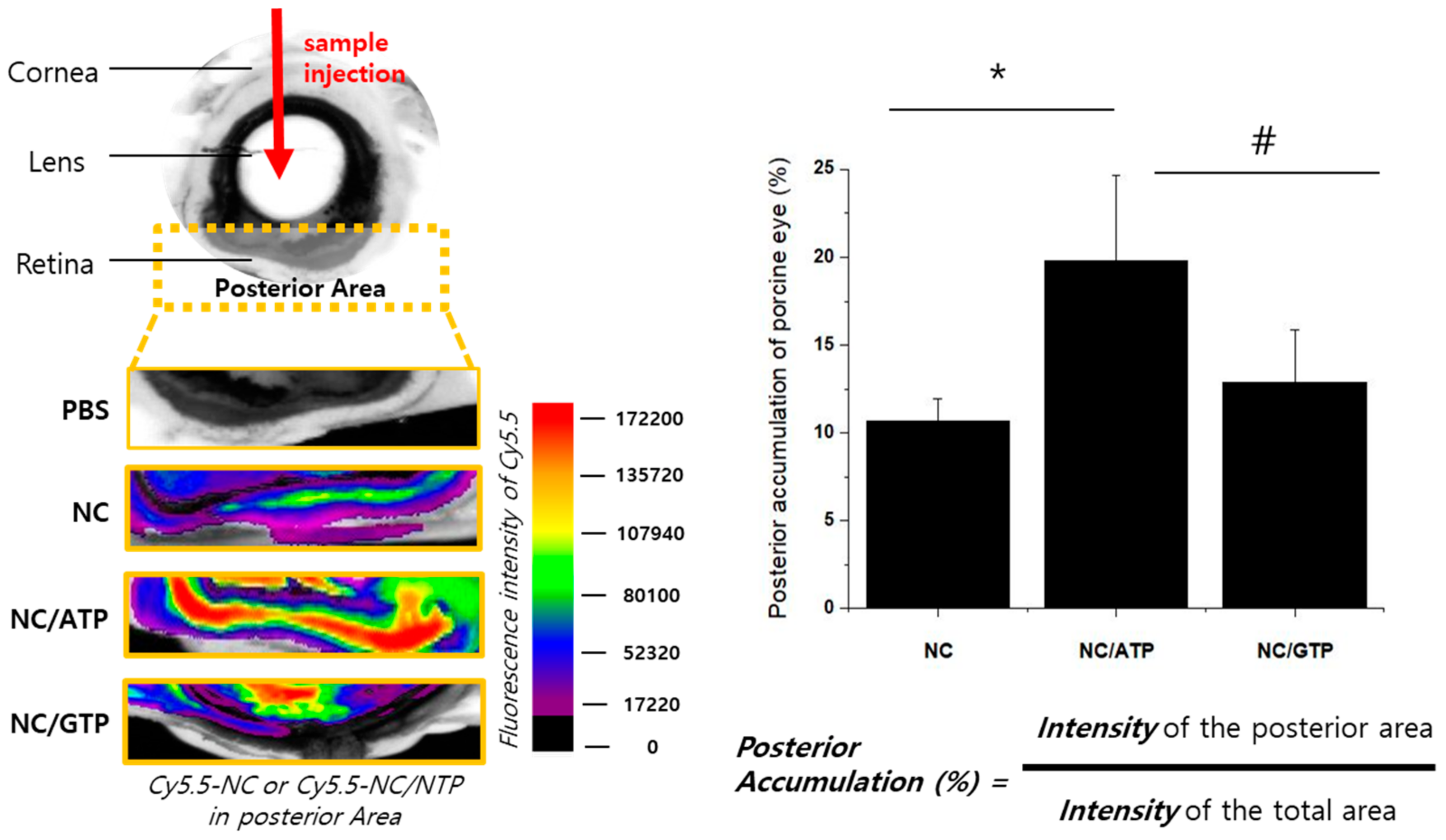 Pharmaceutics 13 00463 g003