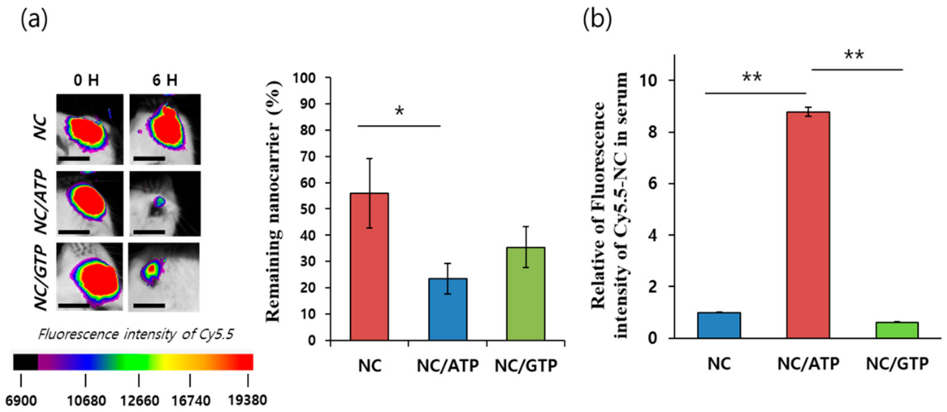Pharmaceutics 13 00463 g004