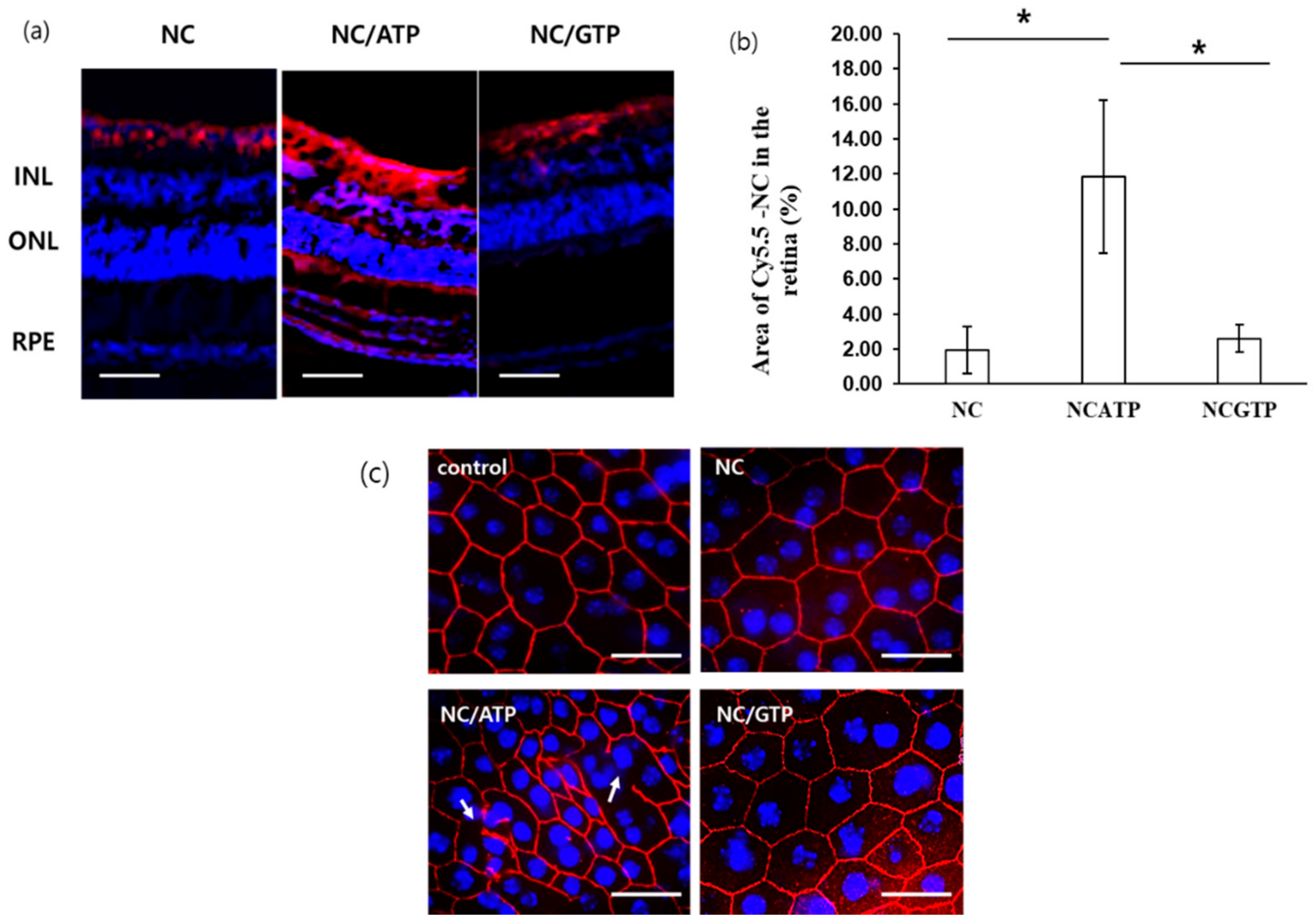 Pharmaceutics 13 00463 g005