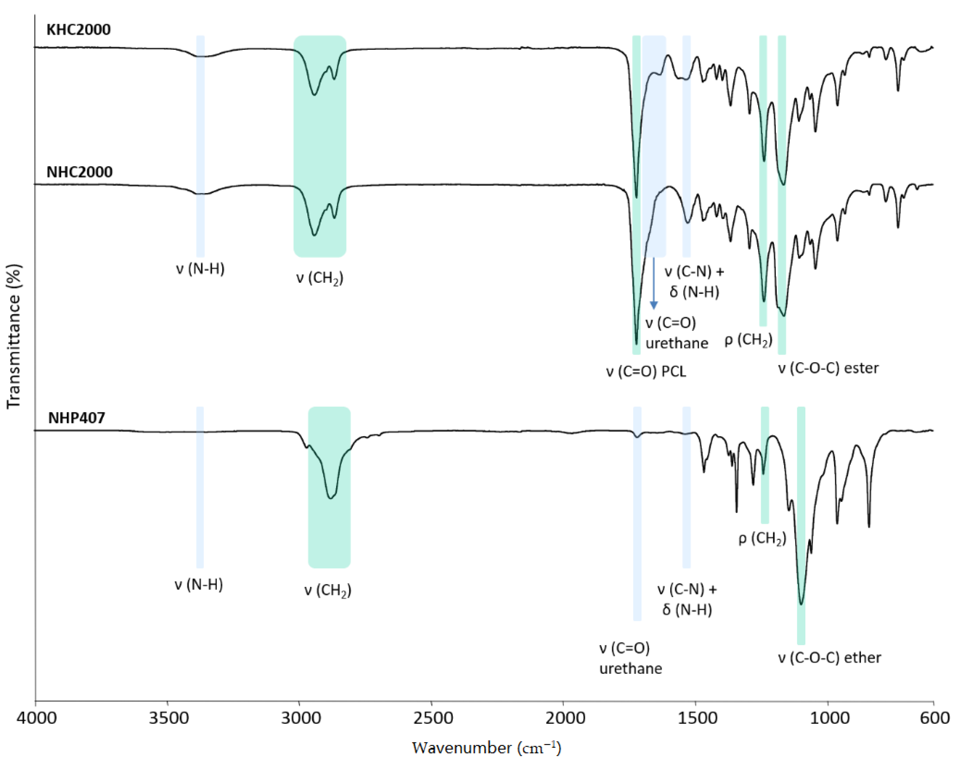 Pharmaceutics 13 00464 g002 Pharmaceutics 13 00464 g002