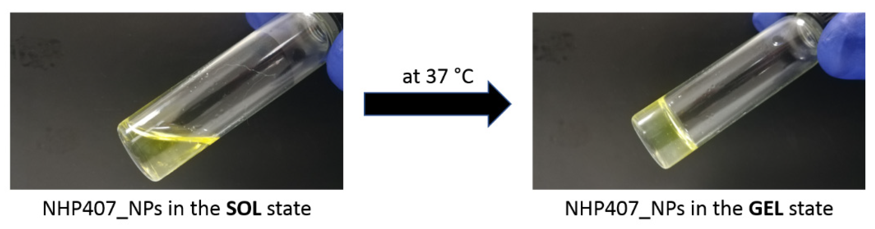 Pharmaceutics 13 00464 g010 Pharmaceutics 13 00464 g010