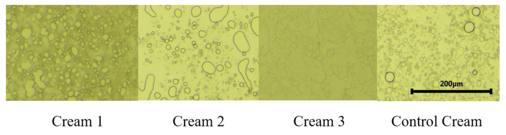Pharmaceutics 13 00465 g003 Pharmaceutics 13 00465 g003
