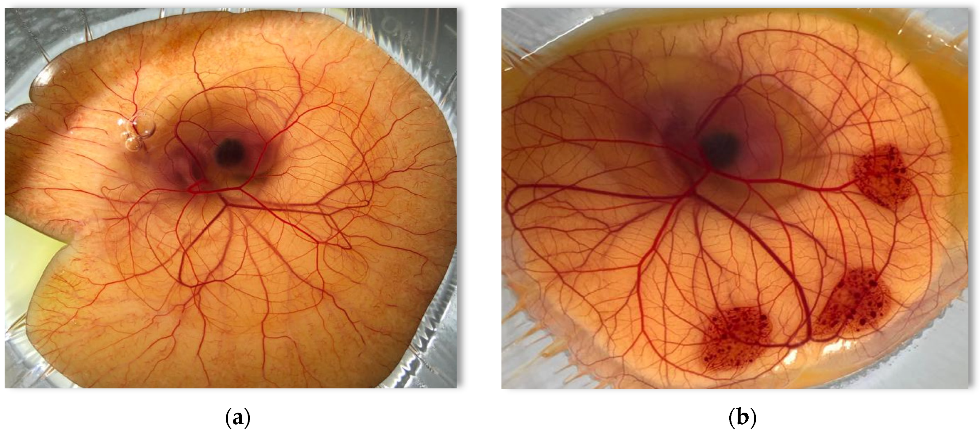 Pharmaceutics 13 00467 g003 Pharmaceutics 13 00467 g003