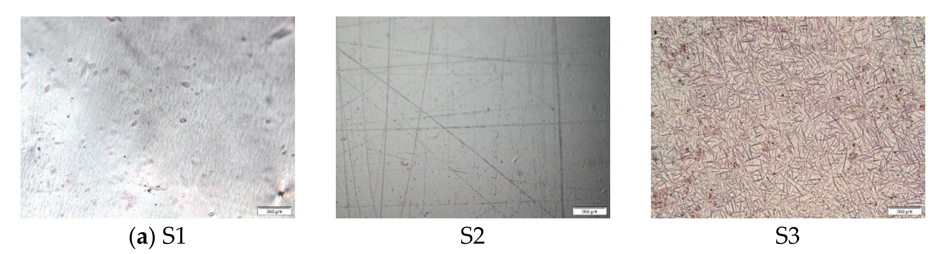 Pharmaceutics 13 00468 g003a