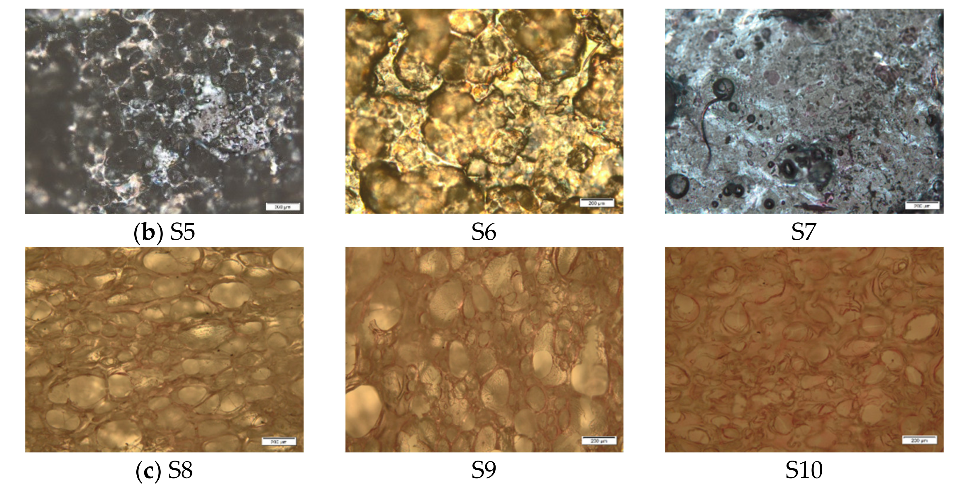 Pharmaceutics 13 00468 g003b