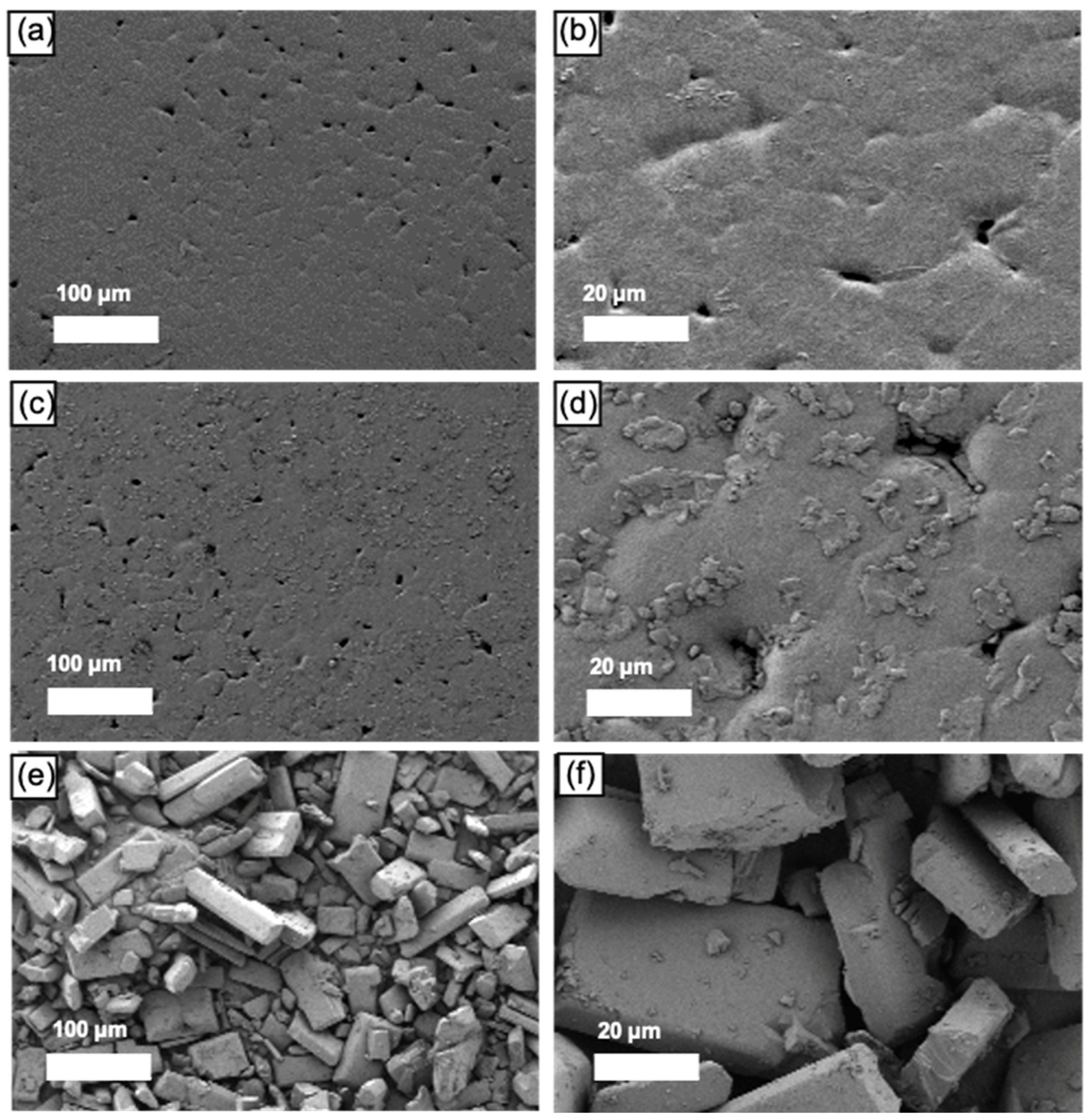 Pharmaceutics 13 00471 g004 Pharmaceutics 13 00471 g004