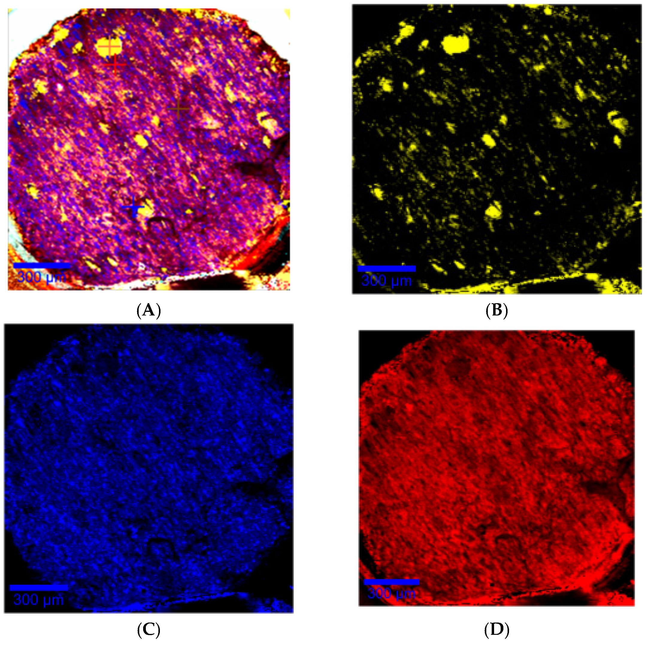 Pharmaceutics 13 00472 g009