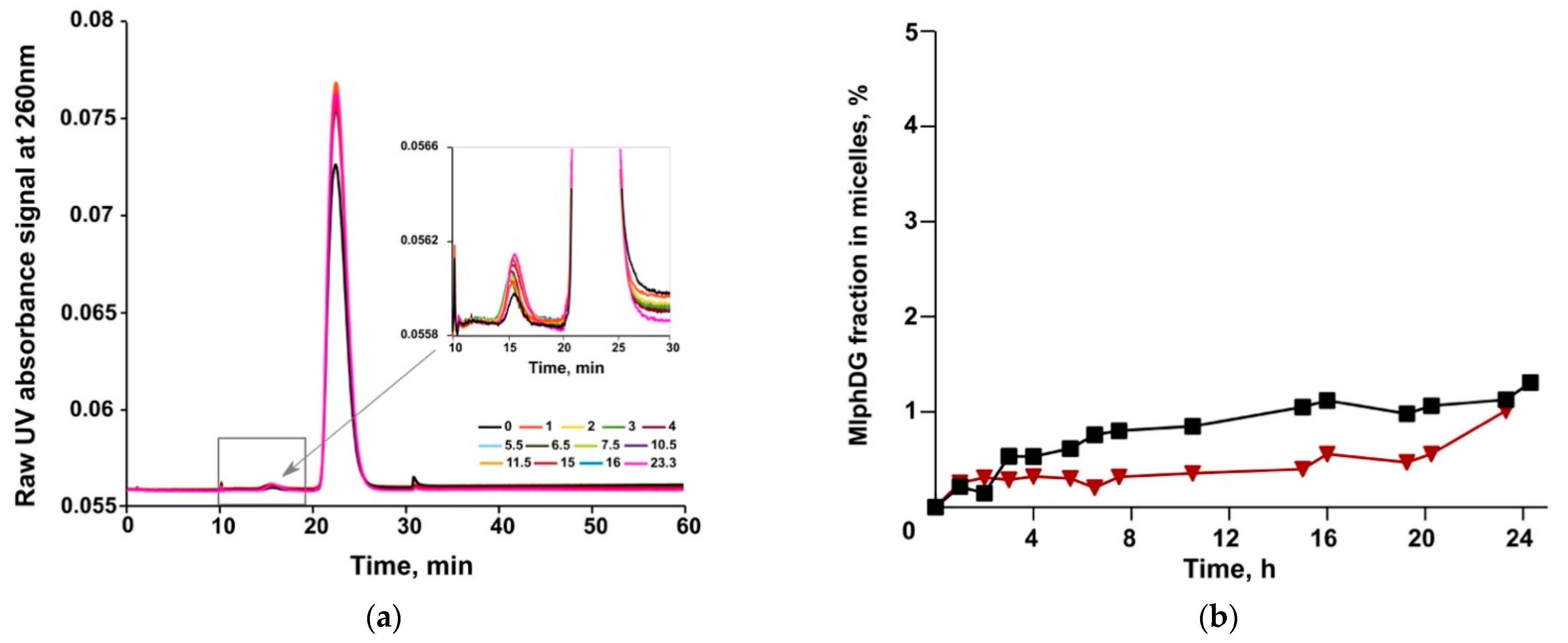 Pharmaceutics 13 00473 g009 Pharmaceutics 13 00473 g009