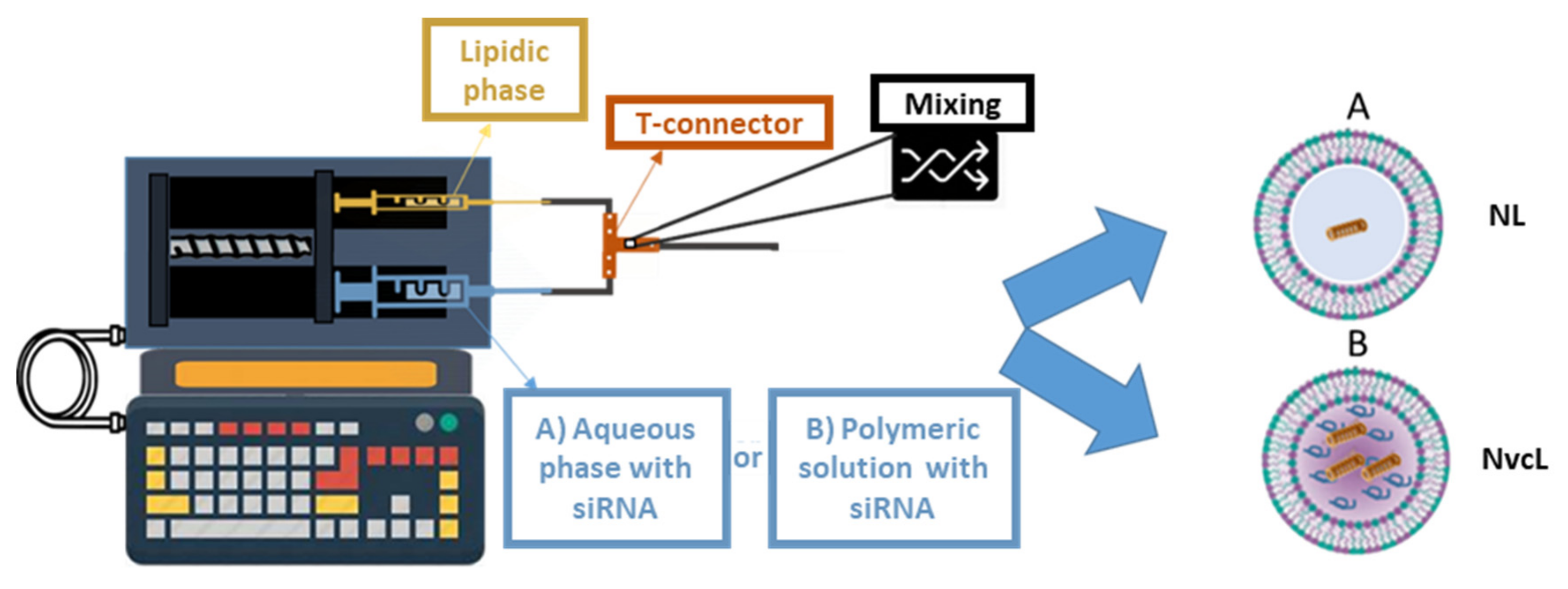 Pharmaceutics 13 00479 g001 Pharmaceutics 13 00479 g001