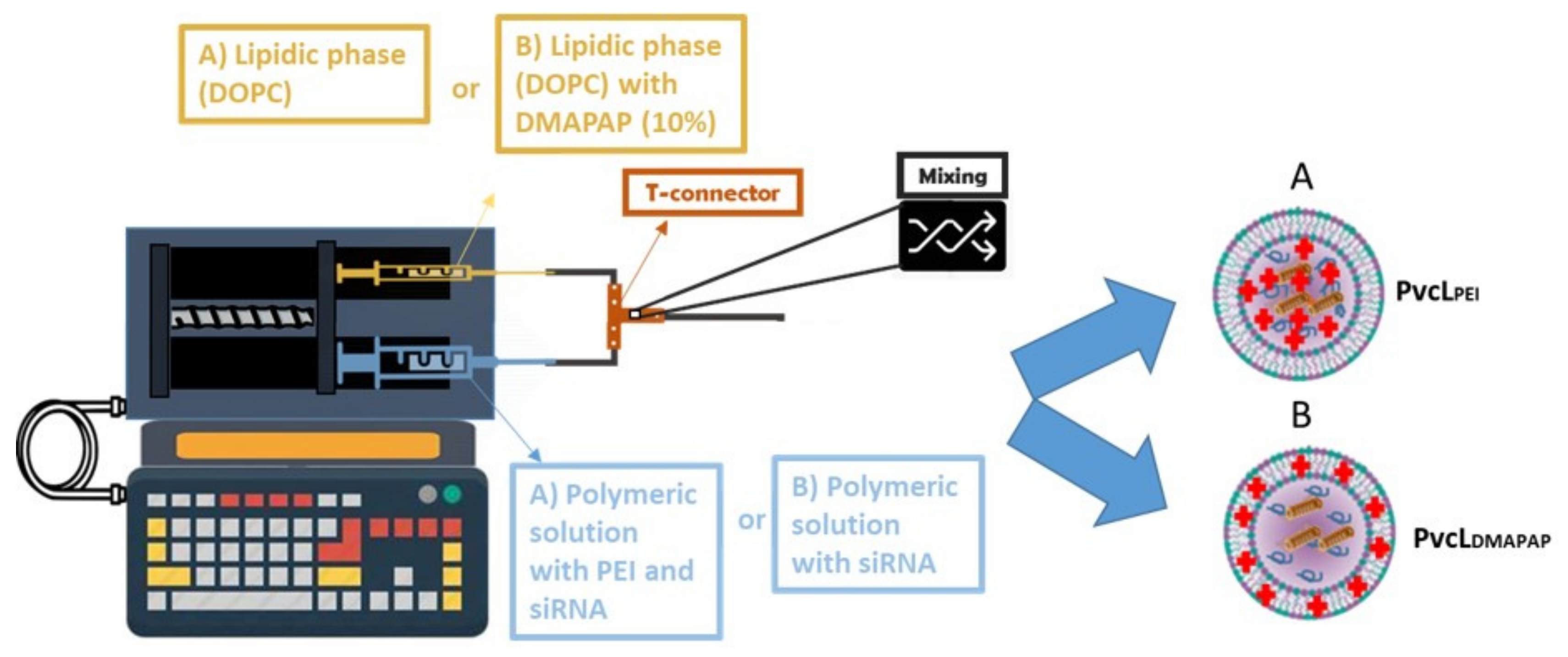 Pharmaceutics 13 00479 g004 Pharmaceutics 13 00479 g004