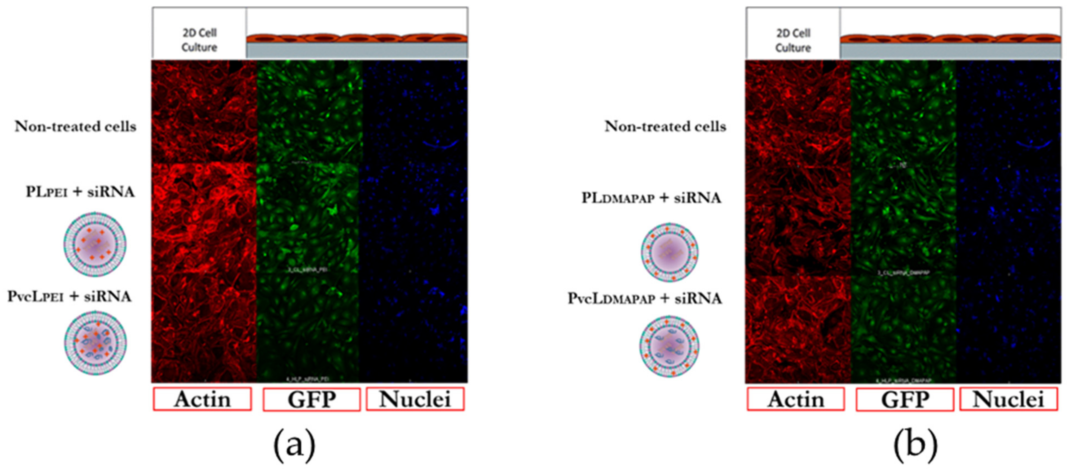 Pharmaceutics 13 00479 g005 Pharmaceutics 13 00479 g005
