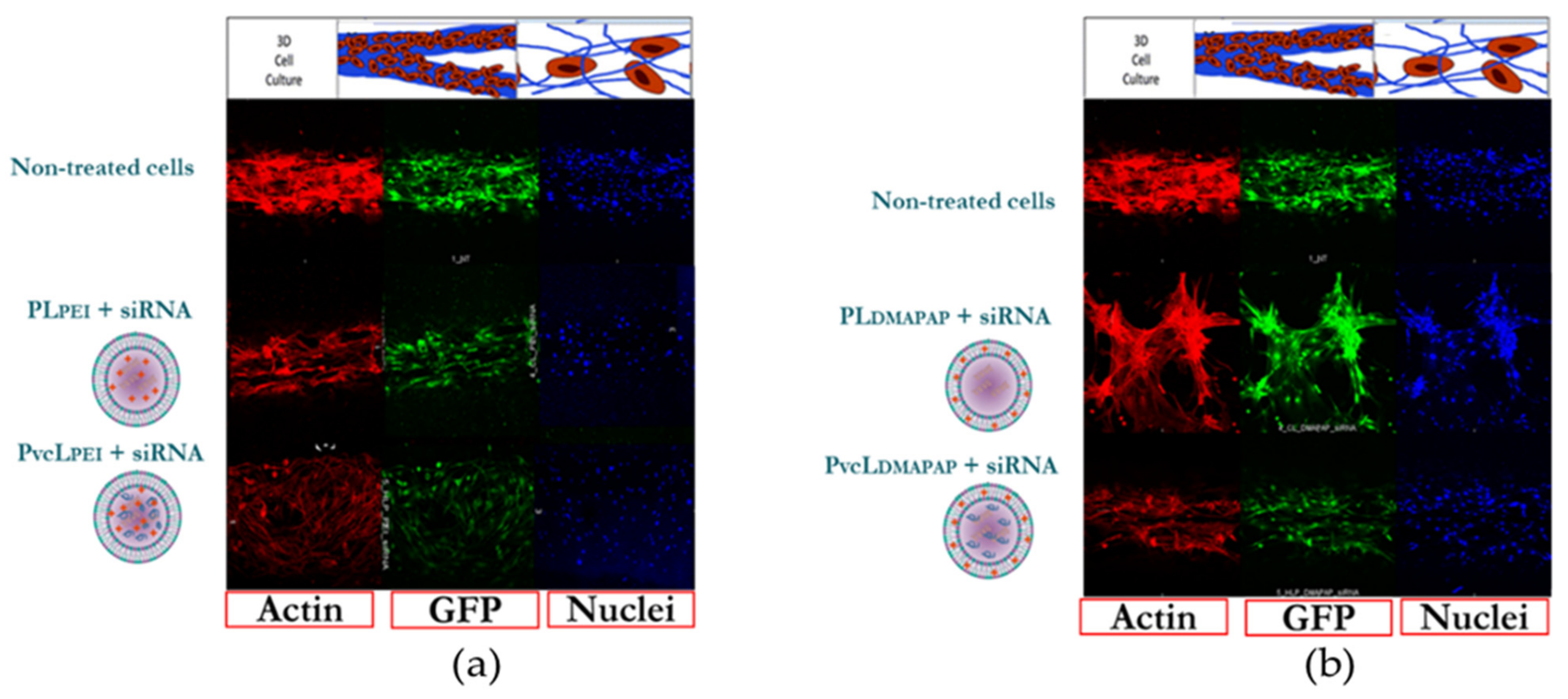 Pharmaceutics 13 00479 g007 Pharmaceutics 13 00479 g007