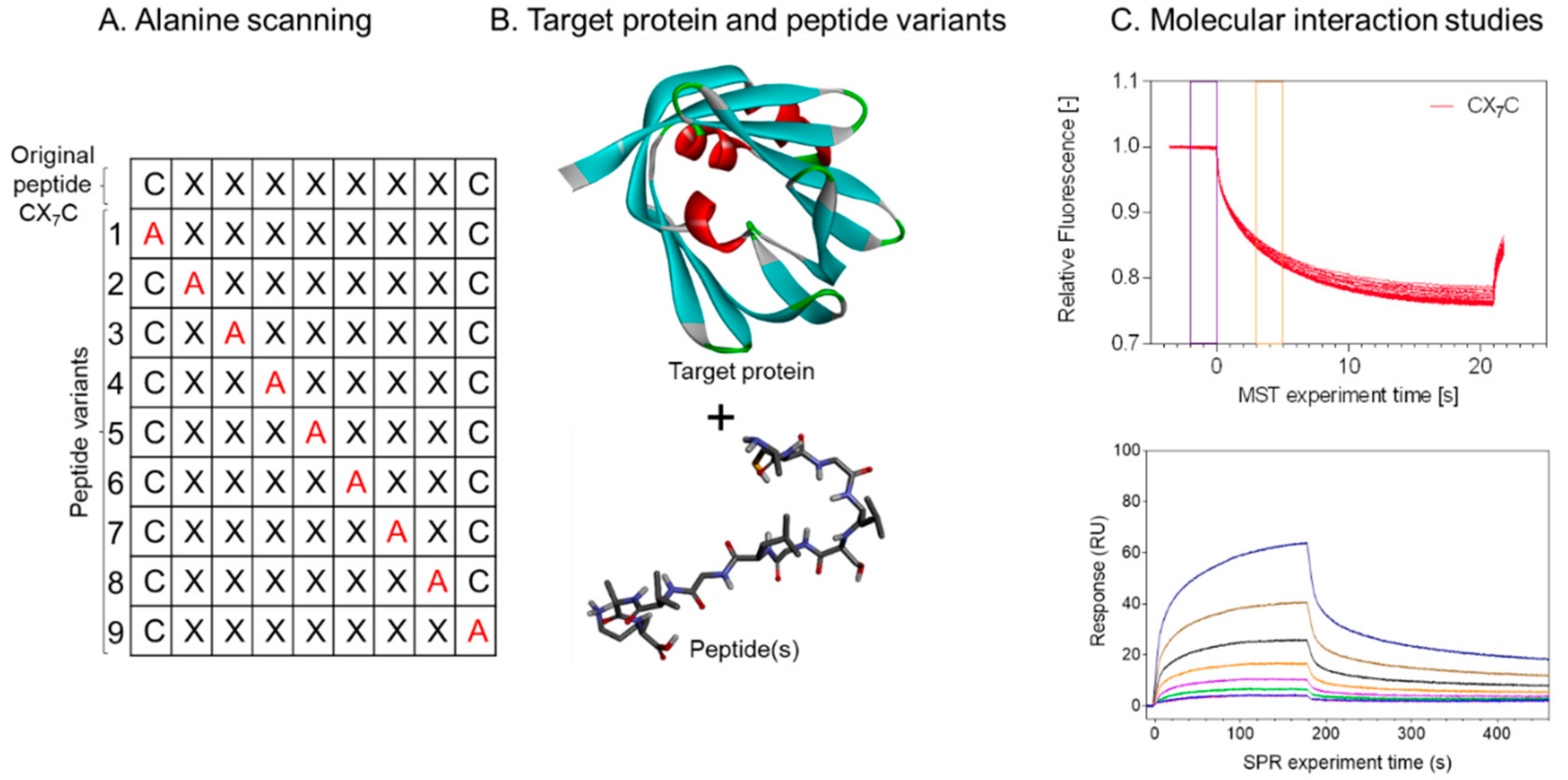 Pharmaceutics 13 00481 g005